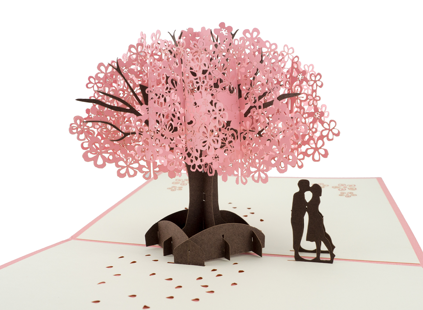 DarekSNapadem.cz foto 3