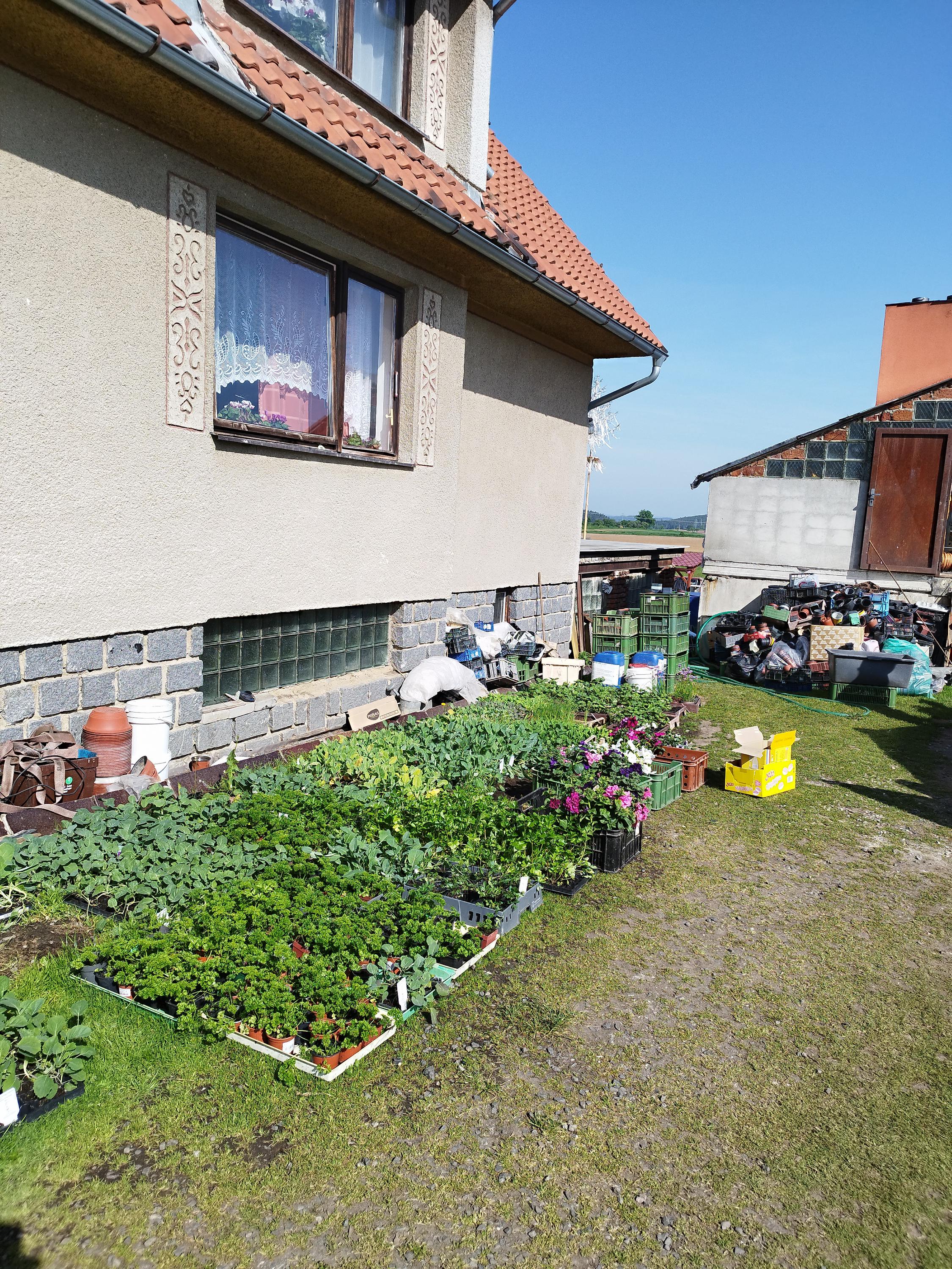 Zahradnictví Kabátovi foto 3