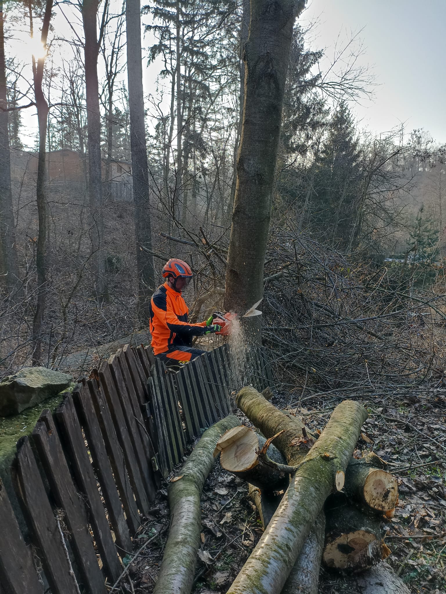 JH - výškové práce foto 5