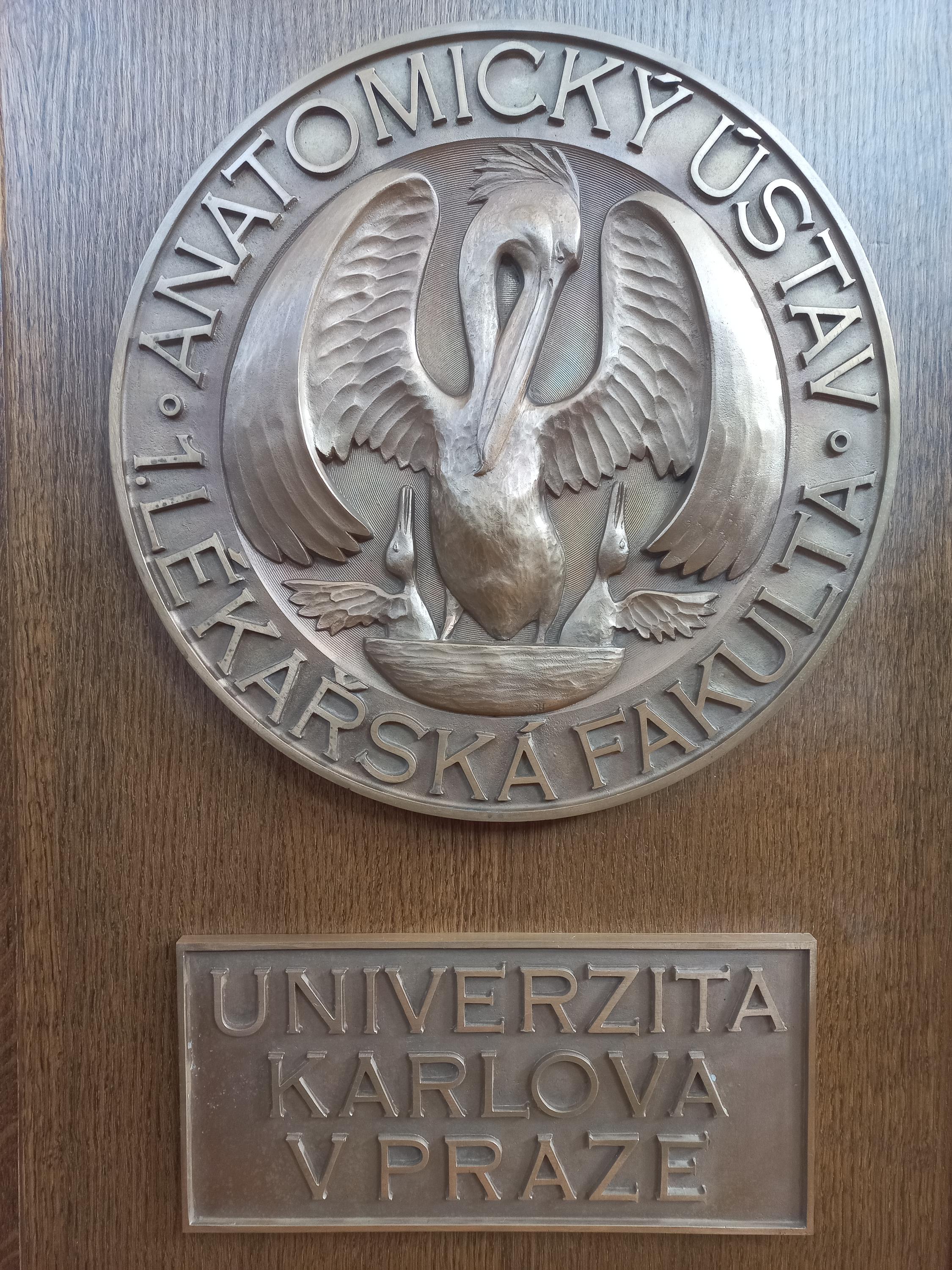 Anatomický ústav 1. LF - Univerzita Karlova foto 5