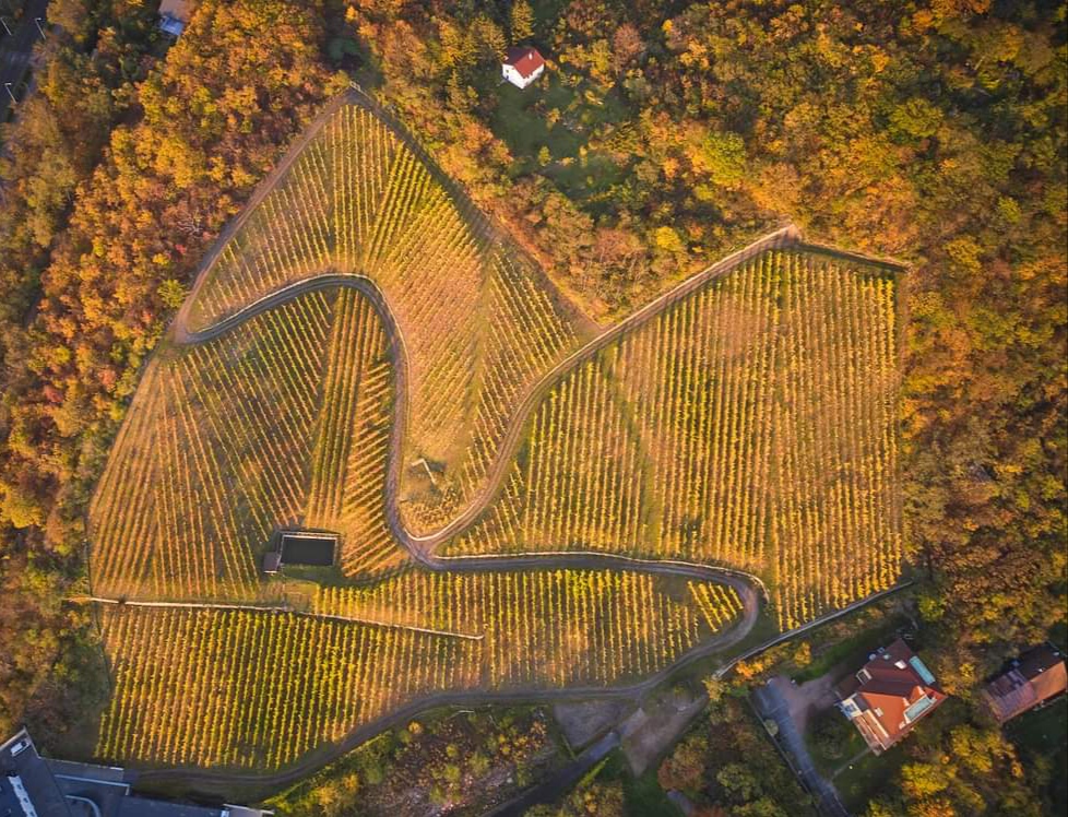 Vinařství Zilvar foto 6