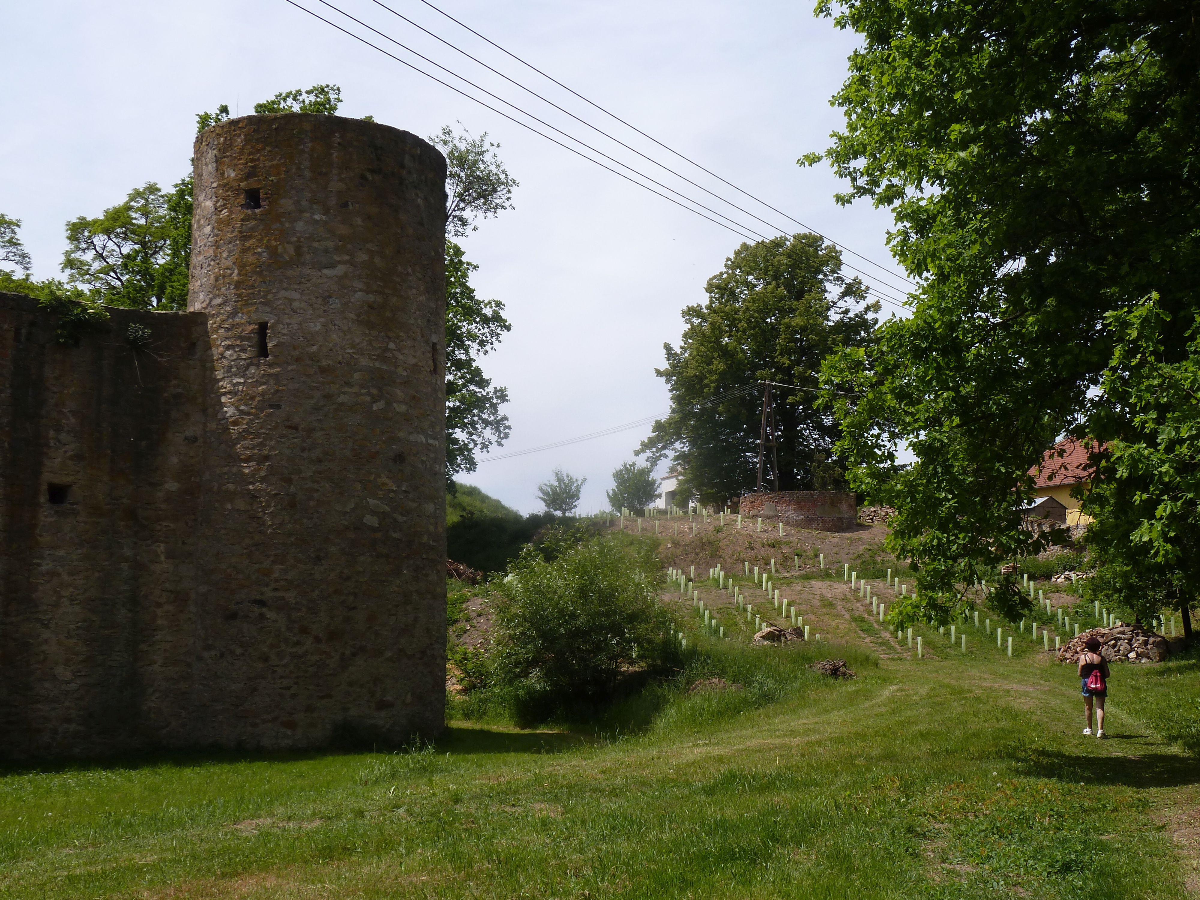 Vinice u náhonu foto 4