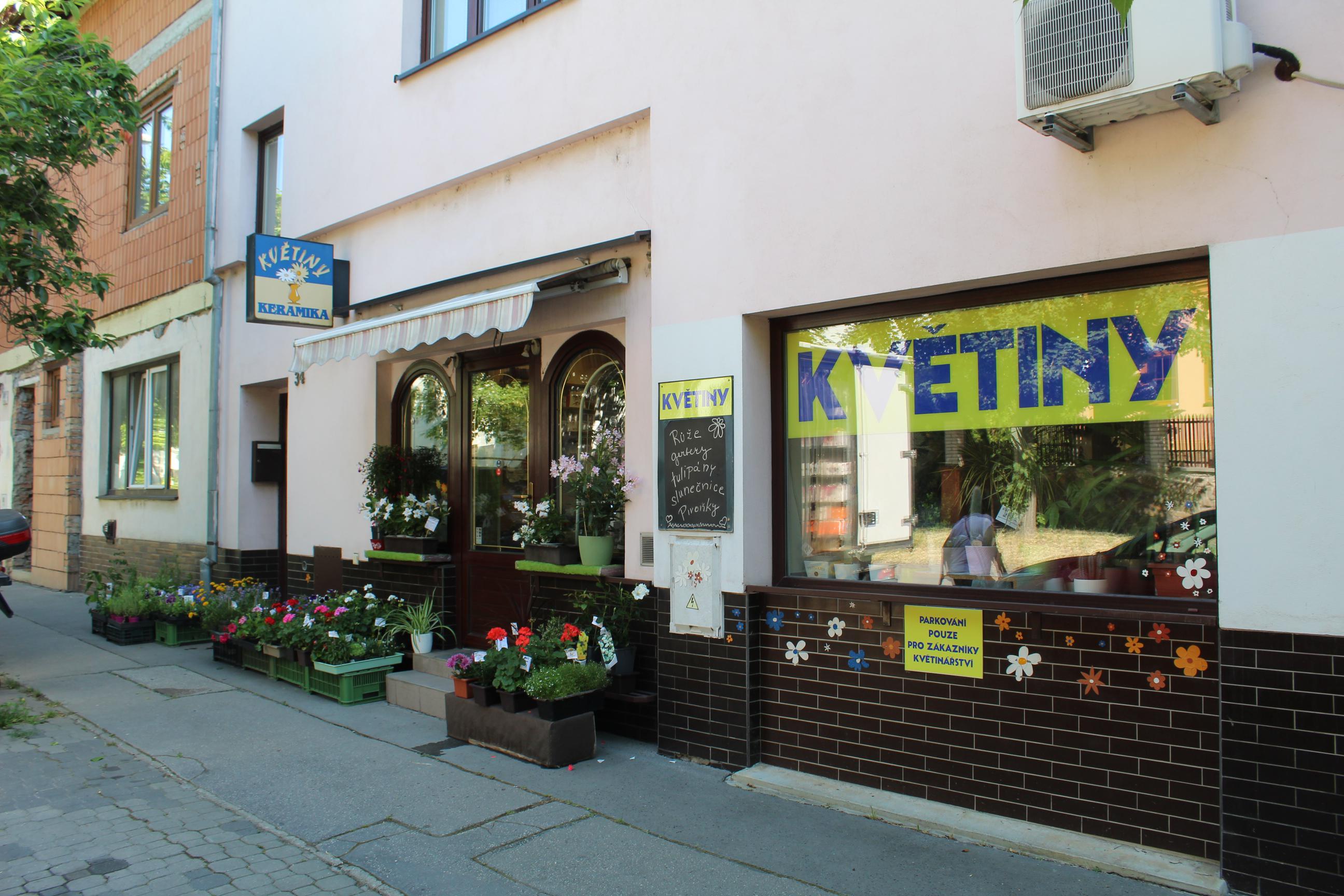 Květiny Alexandra foto 2