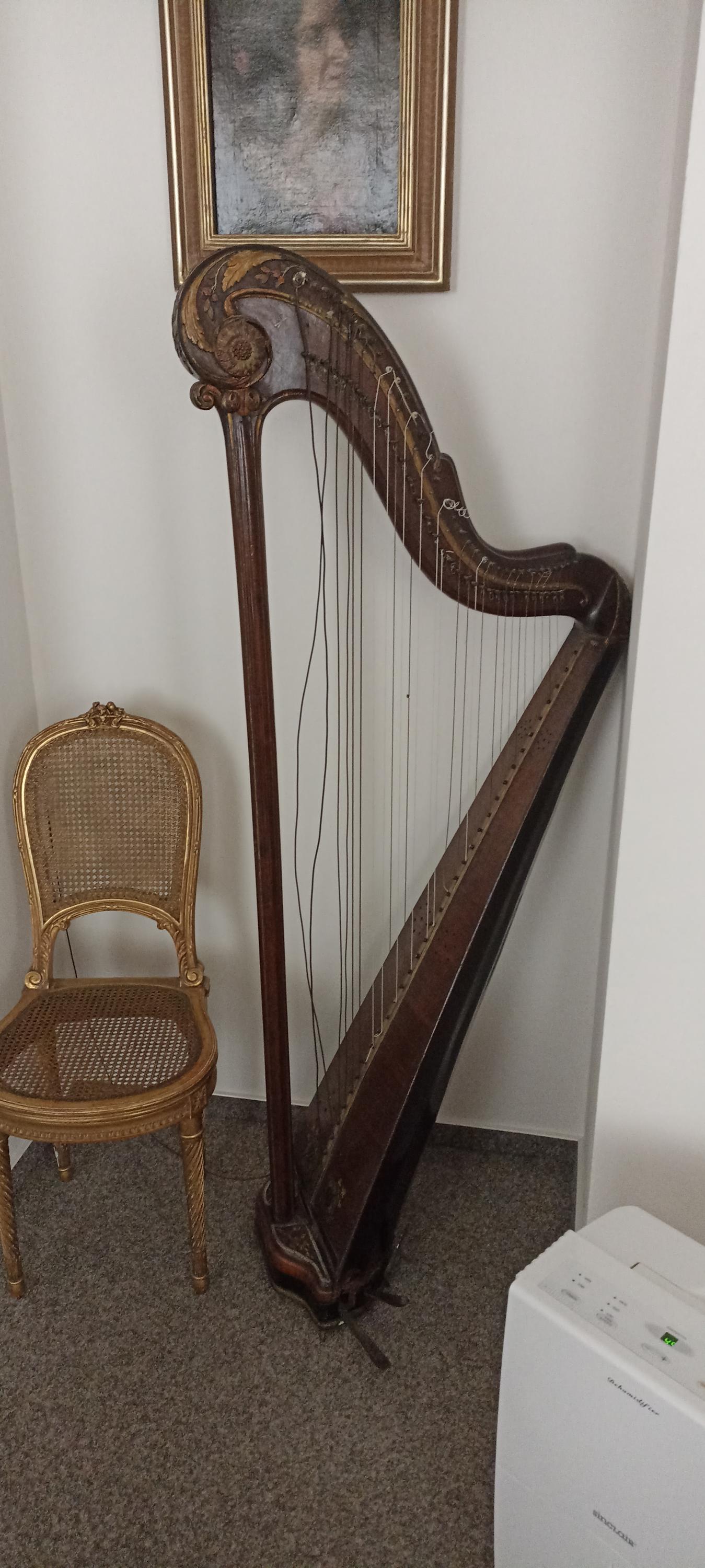 Galerie městského muzea foto 5
