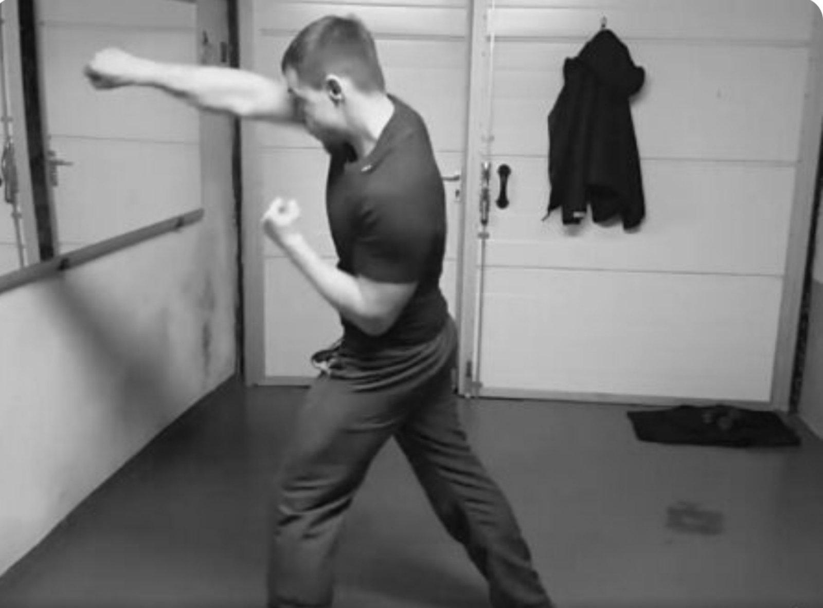 Boxing Čimice foto 5