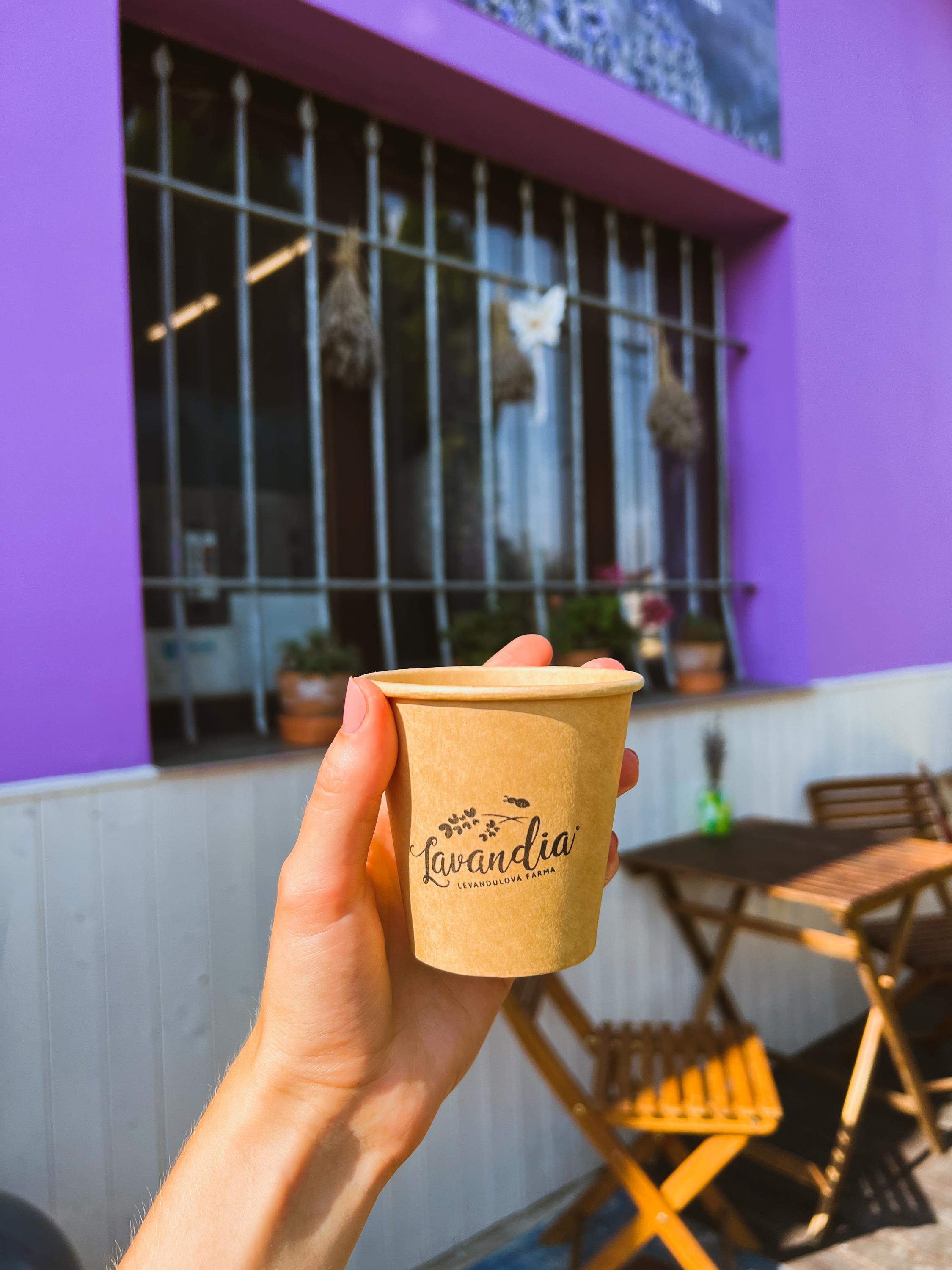 Levandulová farma z jižní Moravy foto 3