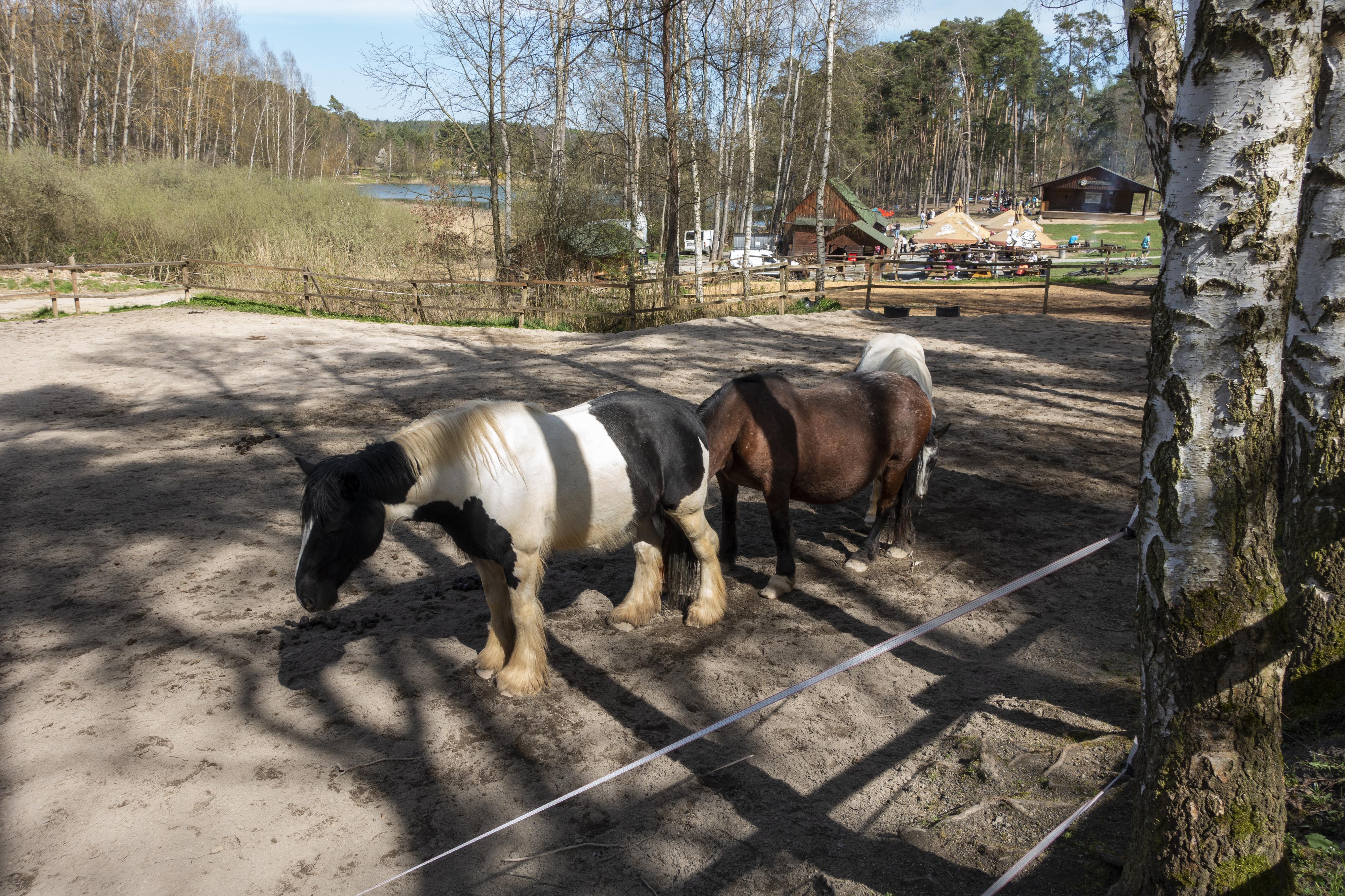 Ranč Šídlovák foto 5
