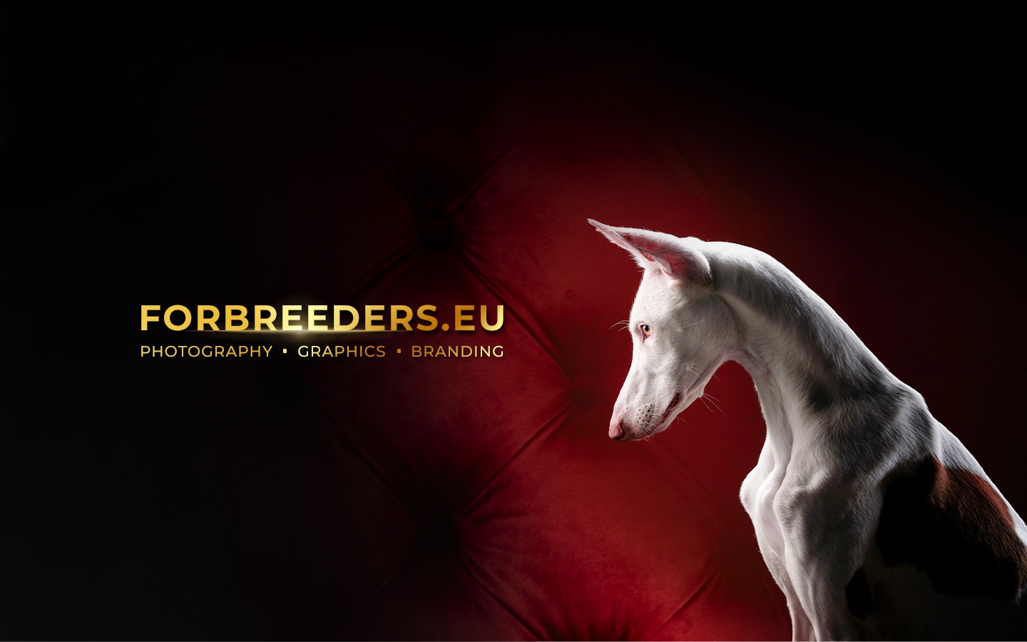 ForBreeders.eu foto 2