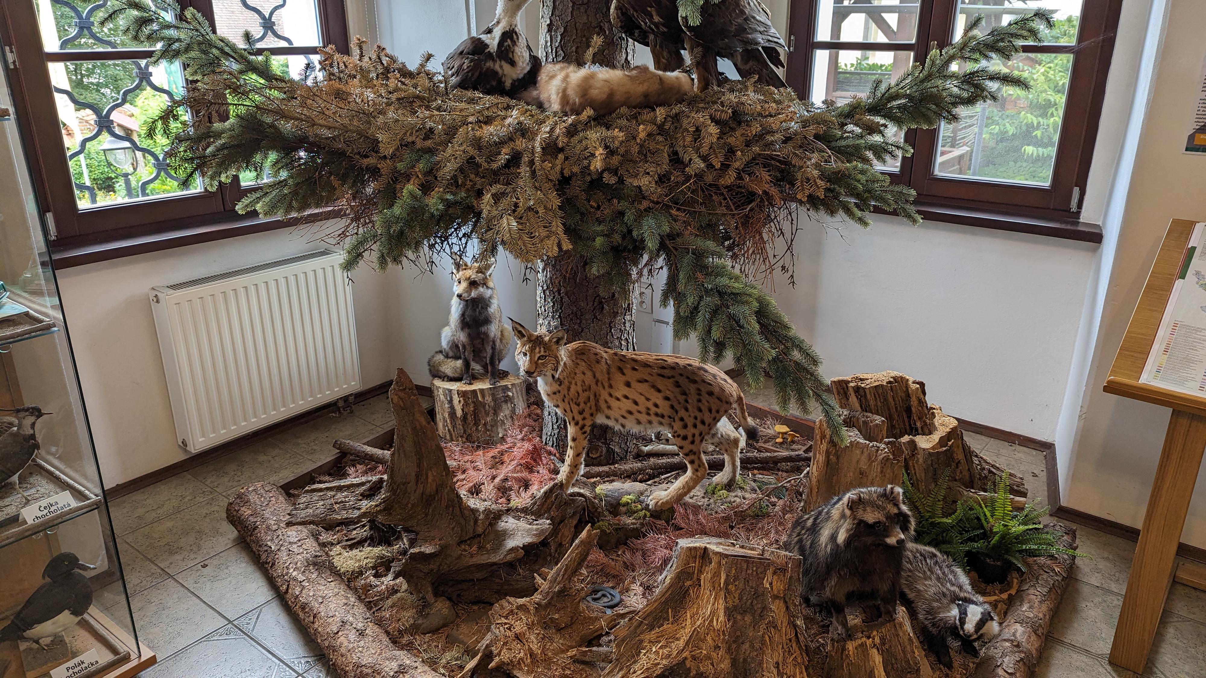 Záchranná stanice Bartošovice