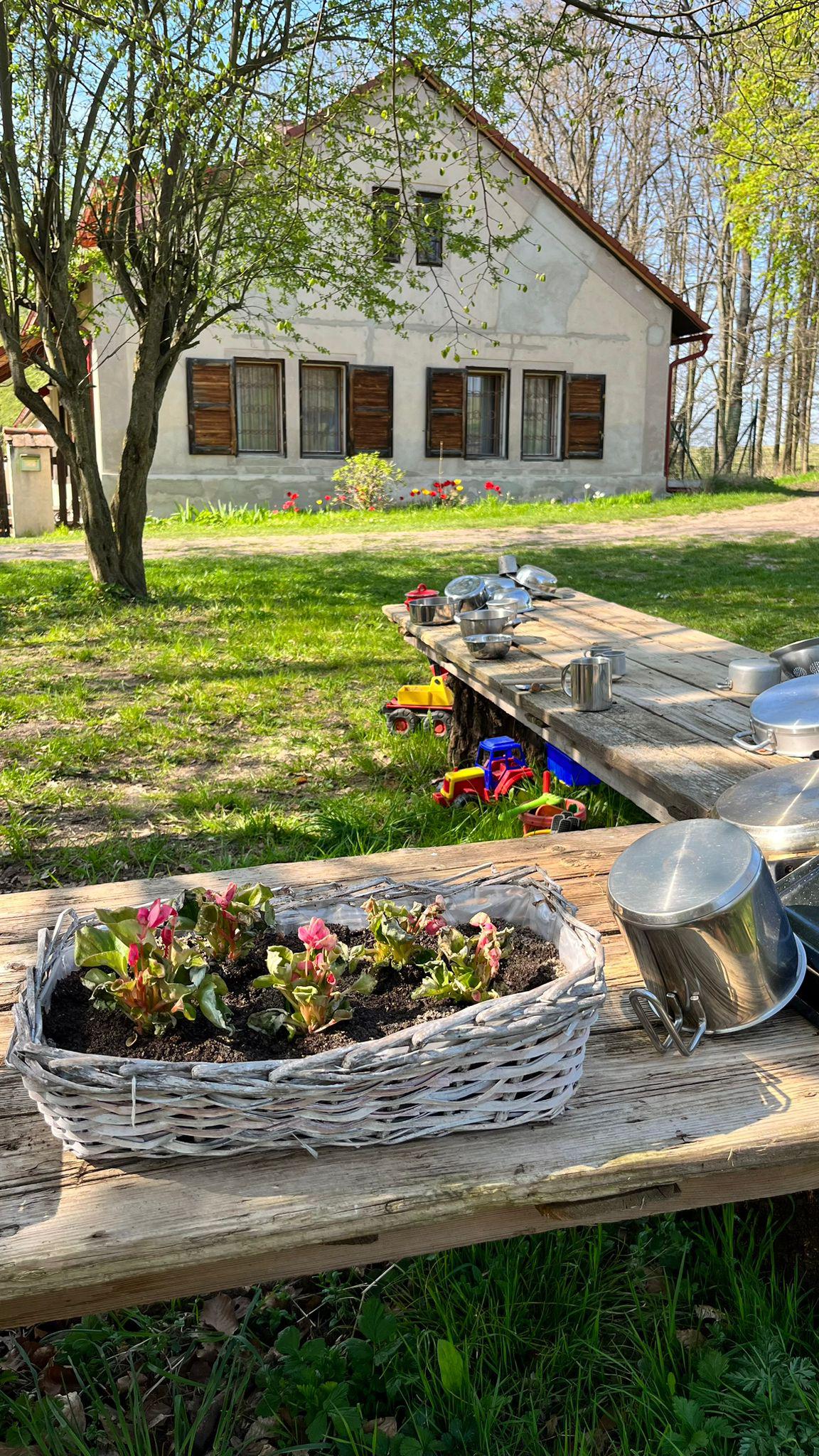 Lesní školka Hájenka foto 2