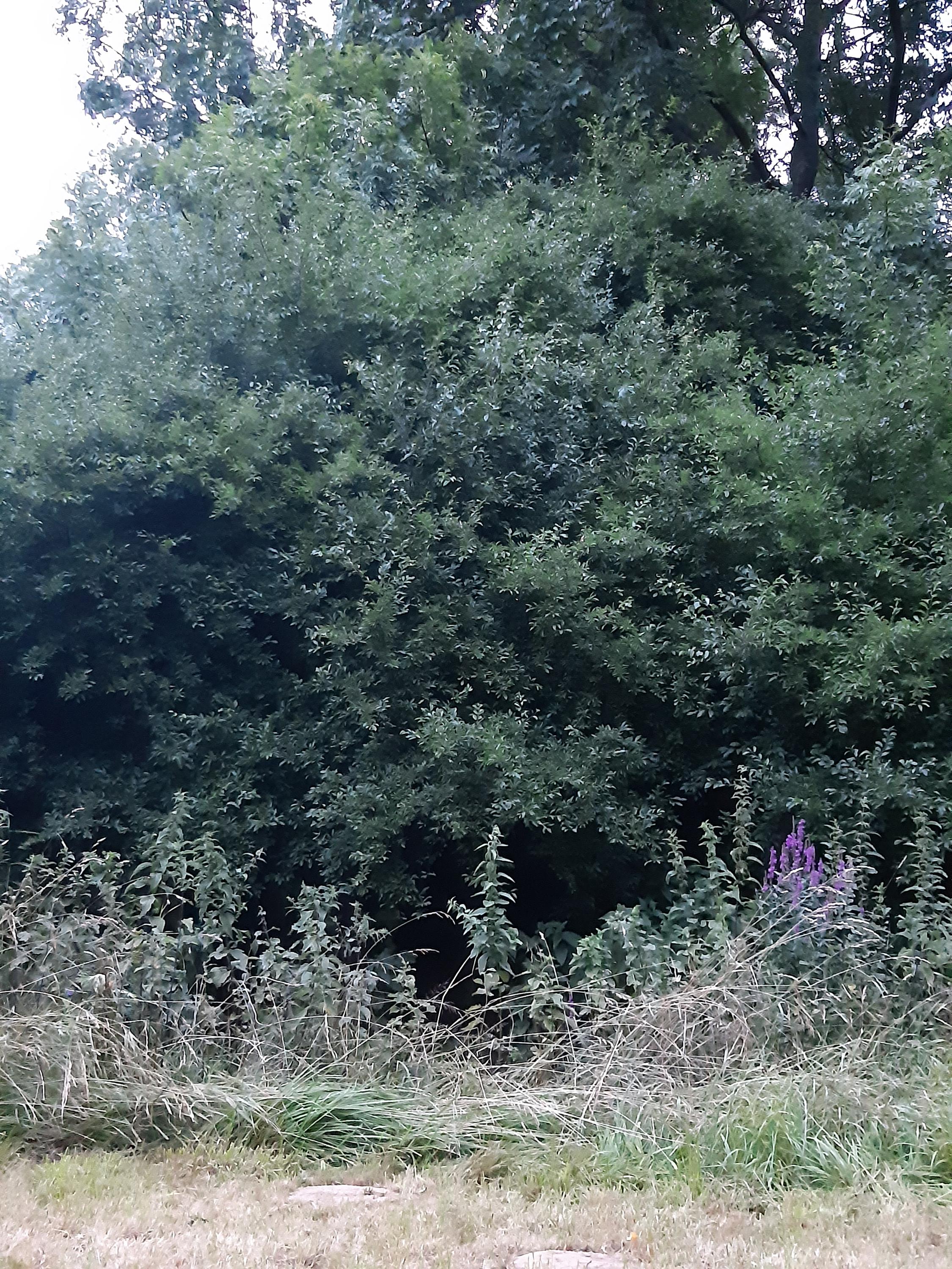 Farma Krasoňovice foto 2