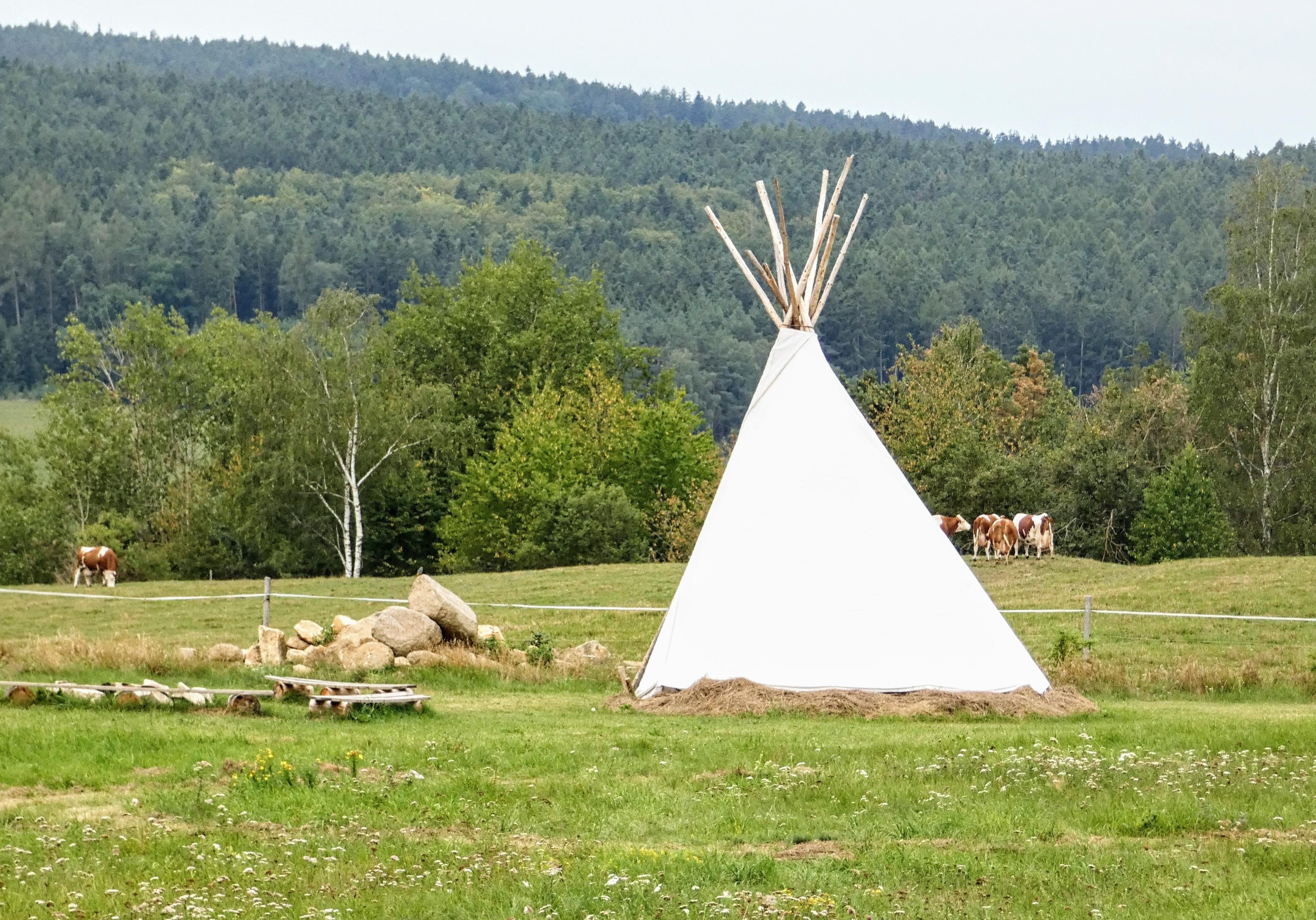 MiniKemp u rozhledny Chalupská Štěpánka
