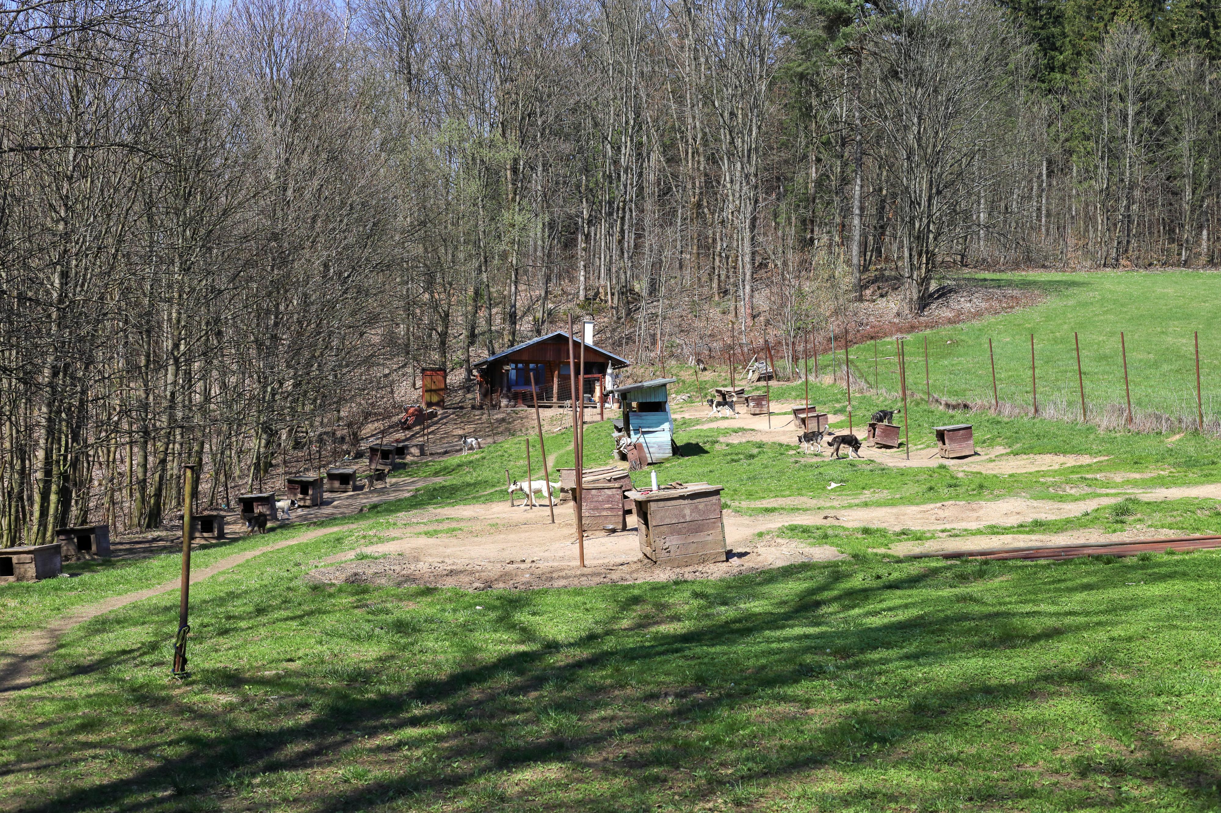 Rodney Scott Lovette foto 5