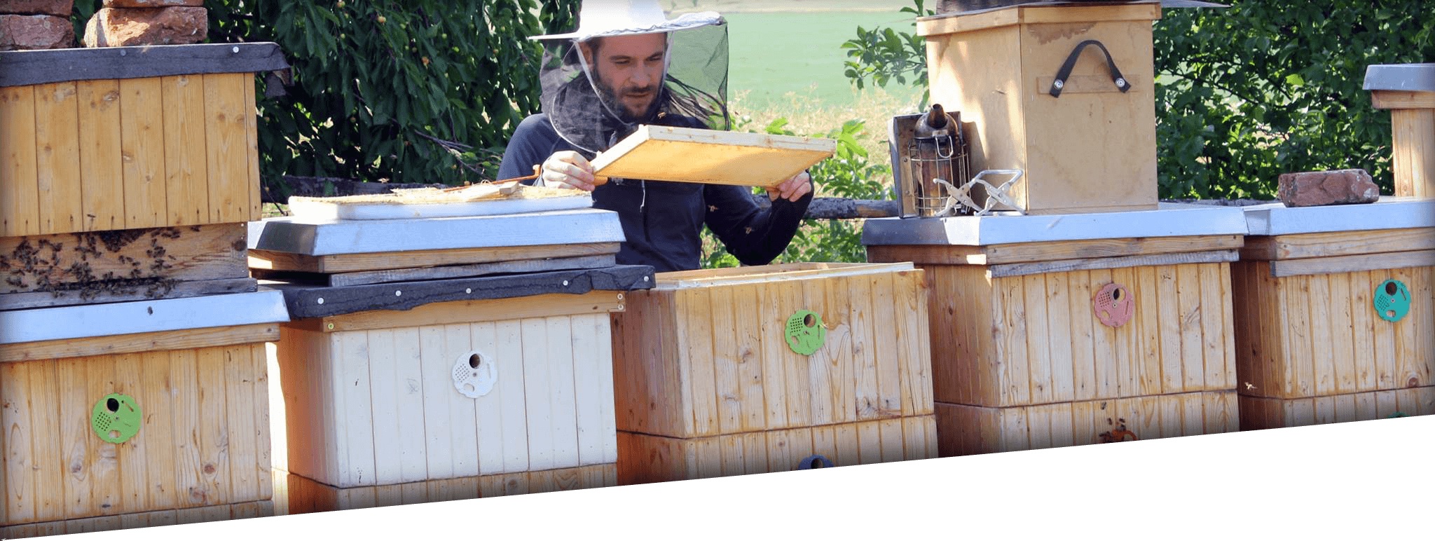 Med z roubenky - prodej medu od včelaře foto 2