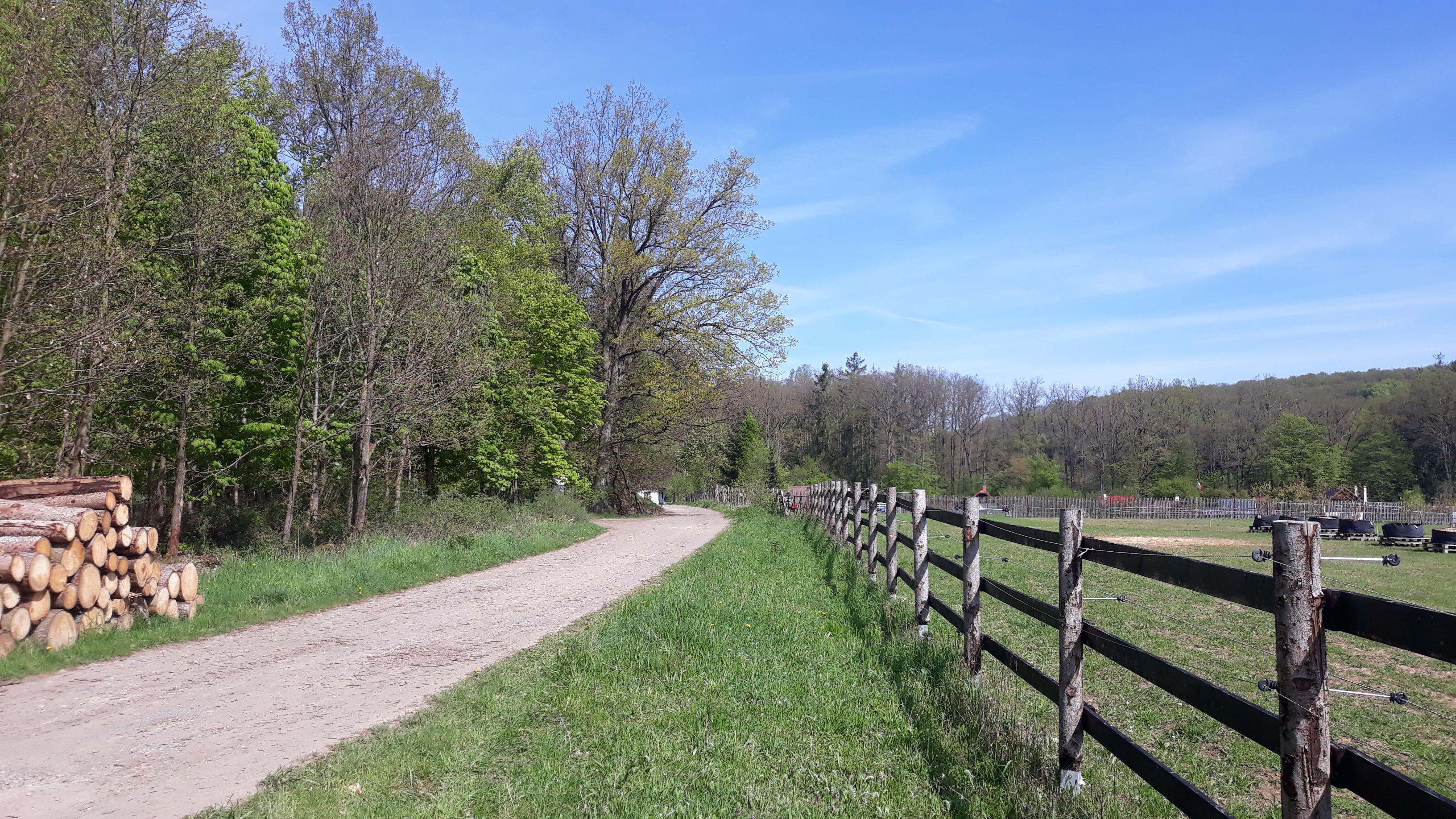 Jezdecký areál Míšánek z.s. foto 6