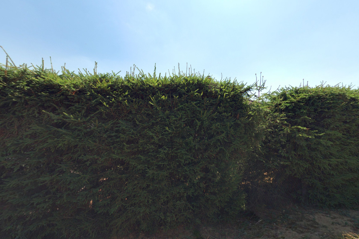 Divadelní spolek ZA DVEŘMI