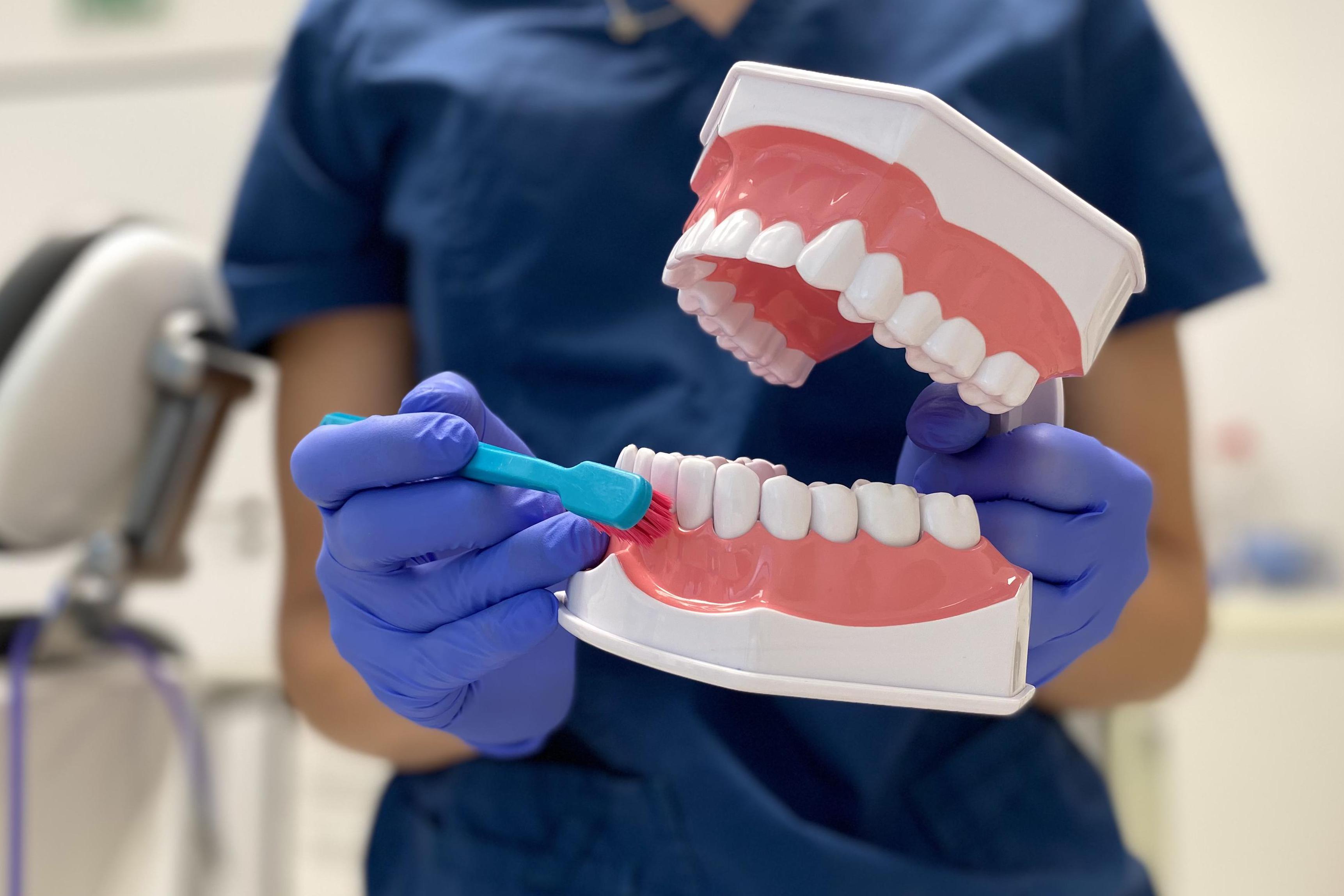 Prevento dentální hygiena