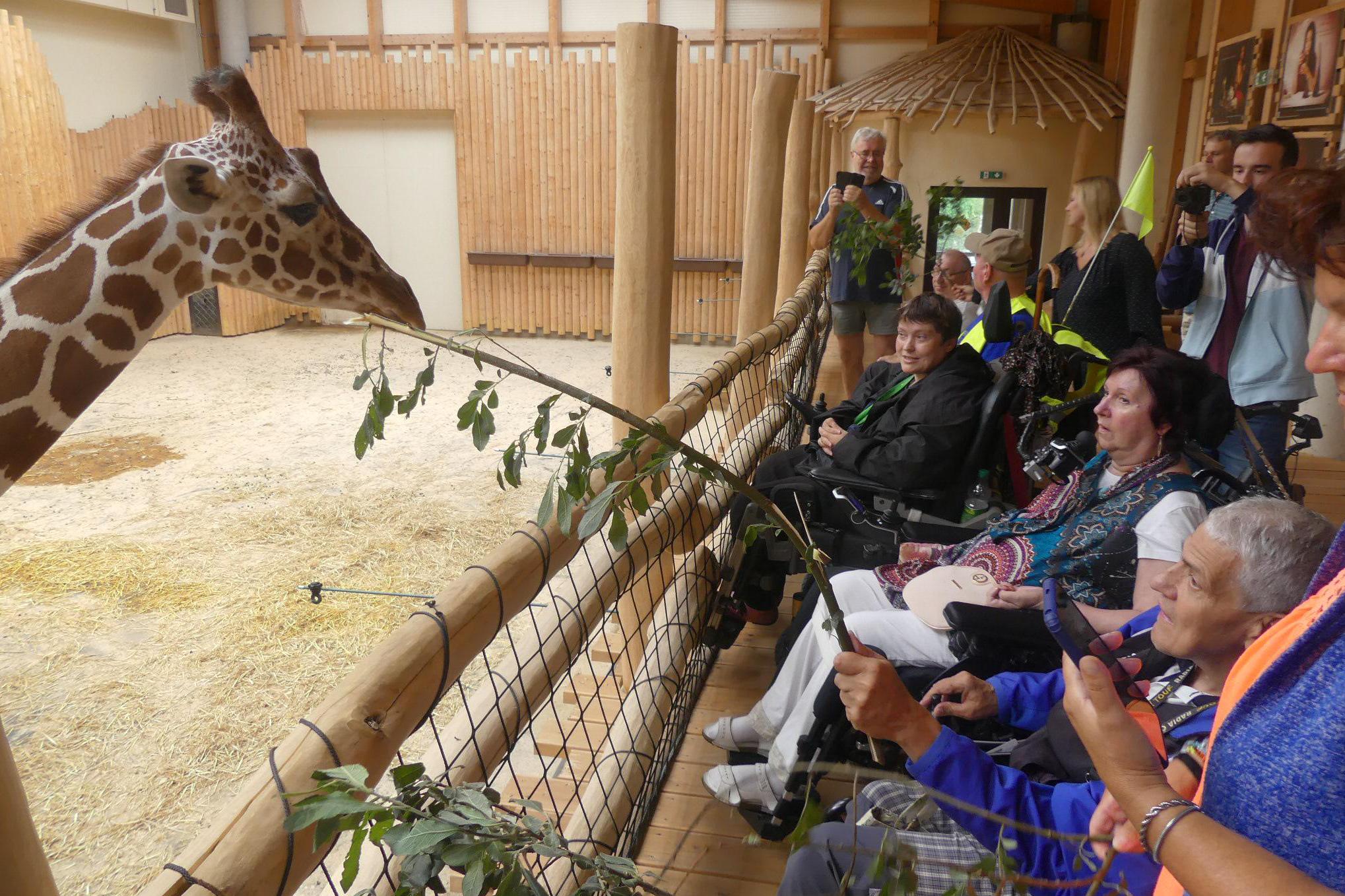 Klub vozíčkářů Trutnov