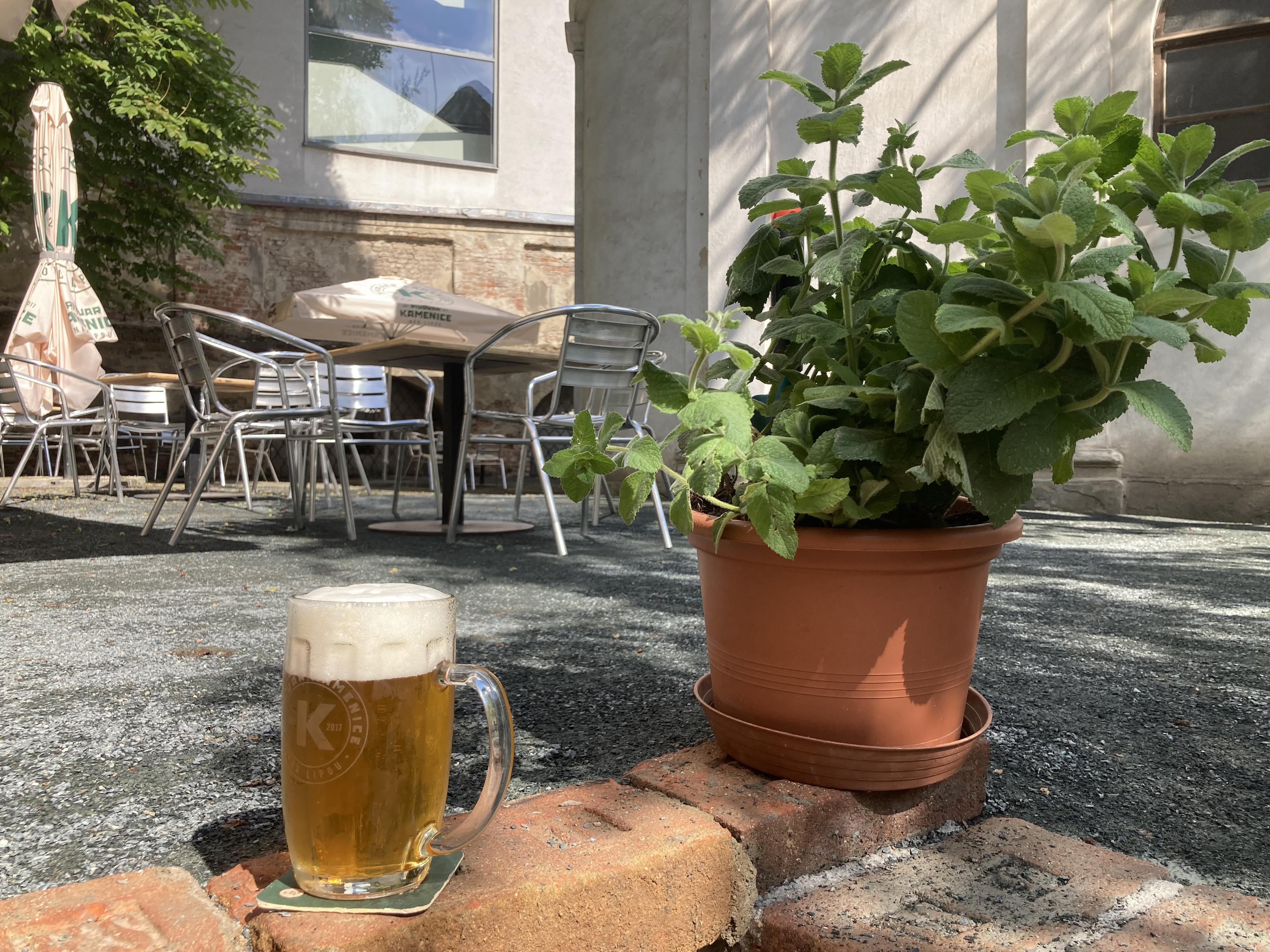 Kavárna Spolek foto 2