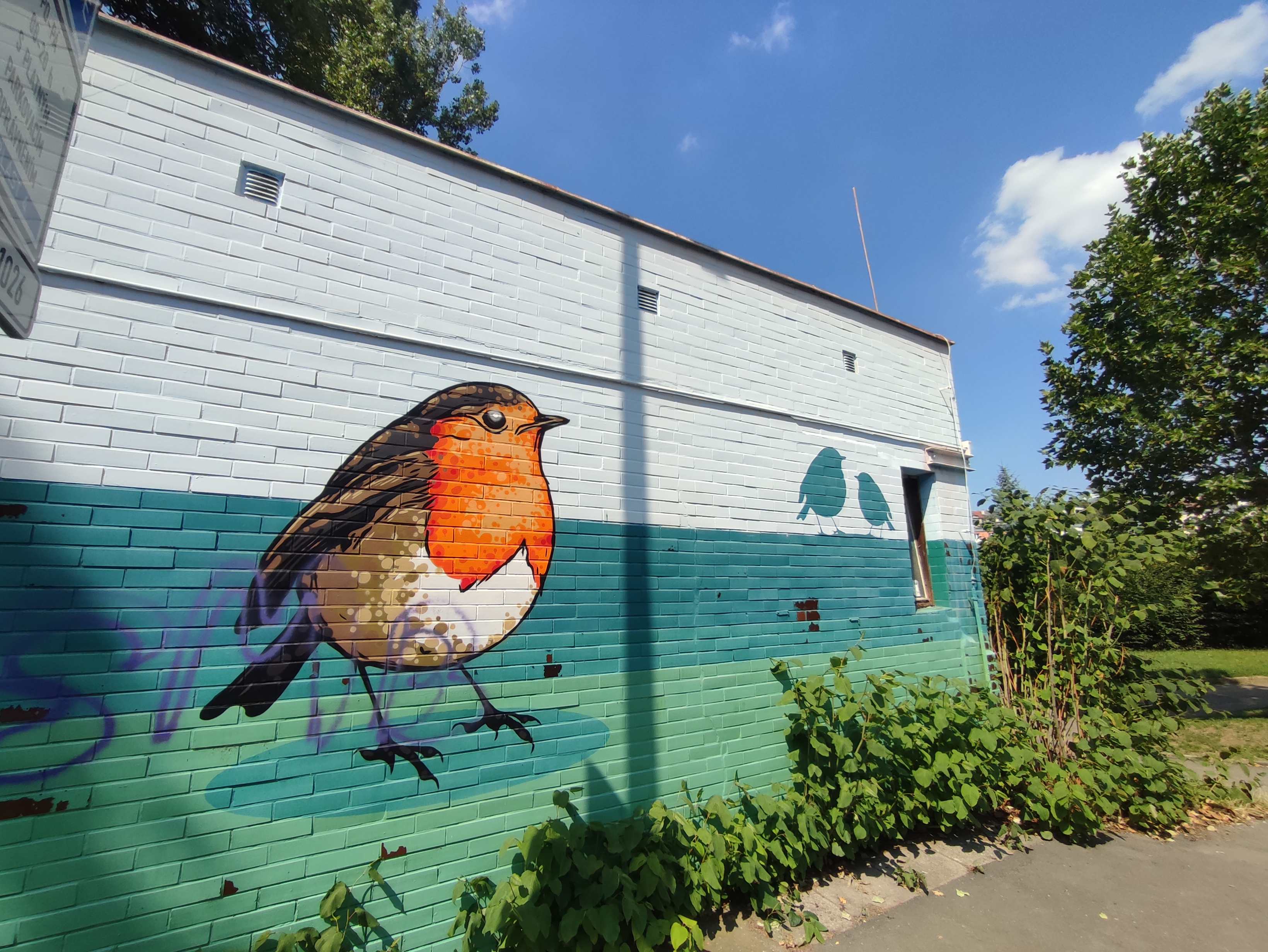 Exe Sport Arena foto 2