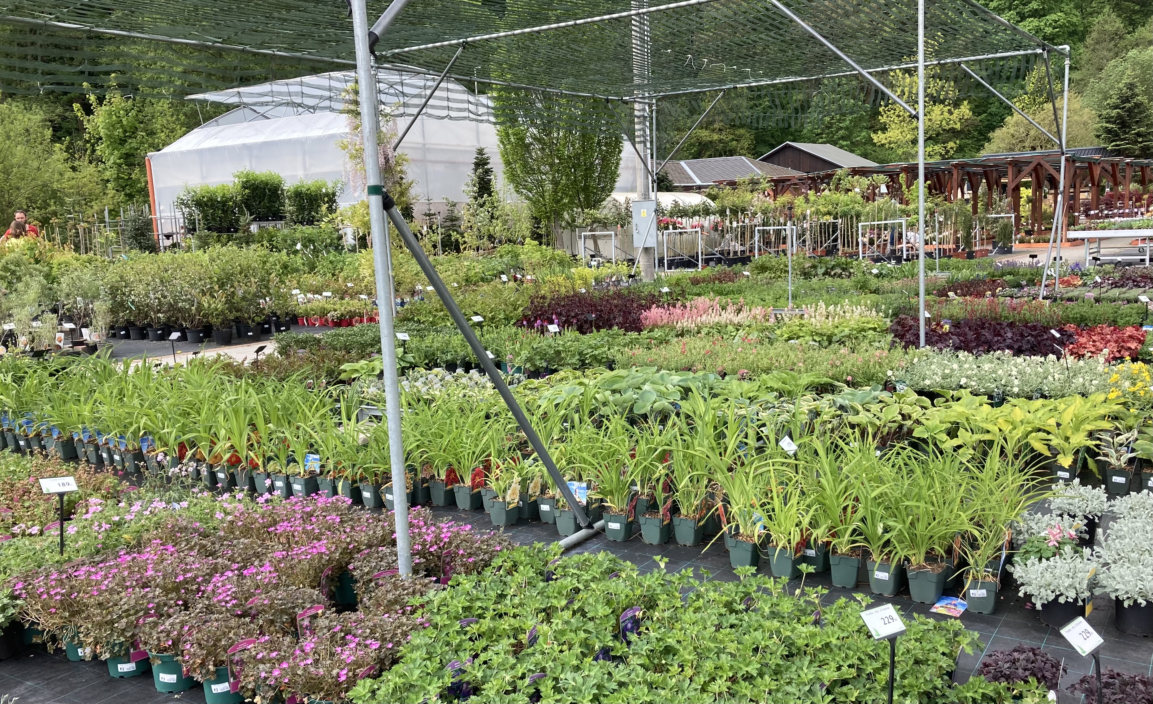 ZAHRADNICTVÍ KRUMLOV, s.r.o. foto 6