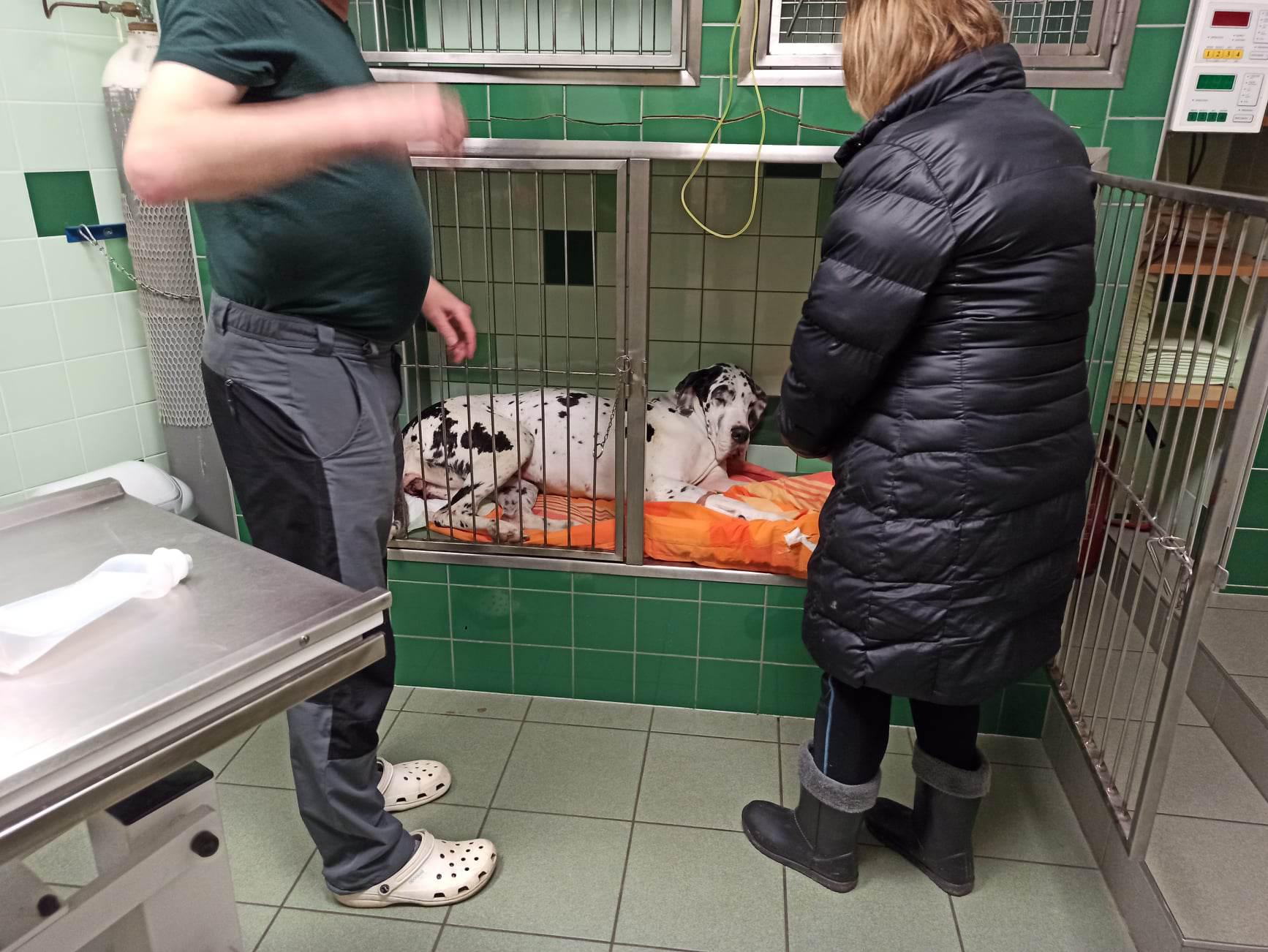 Centrum veterinární péče, s.r.o. foto 1