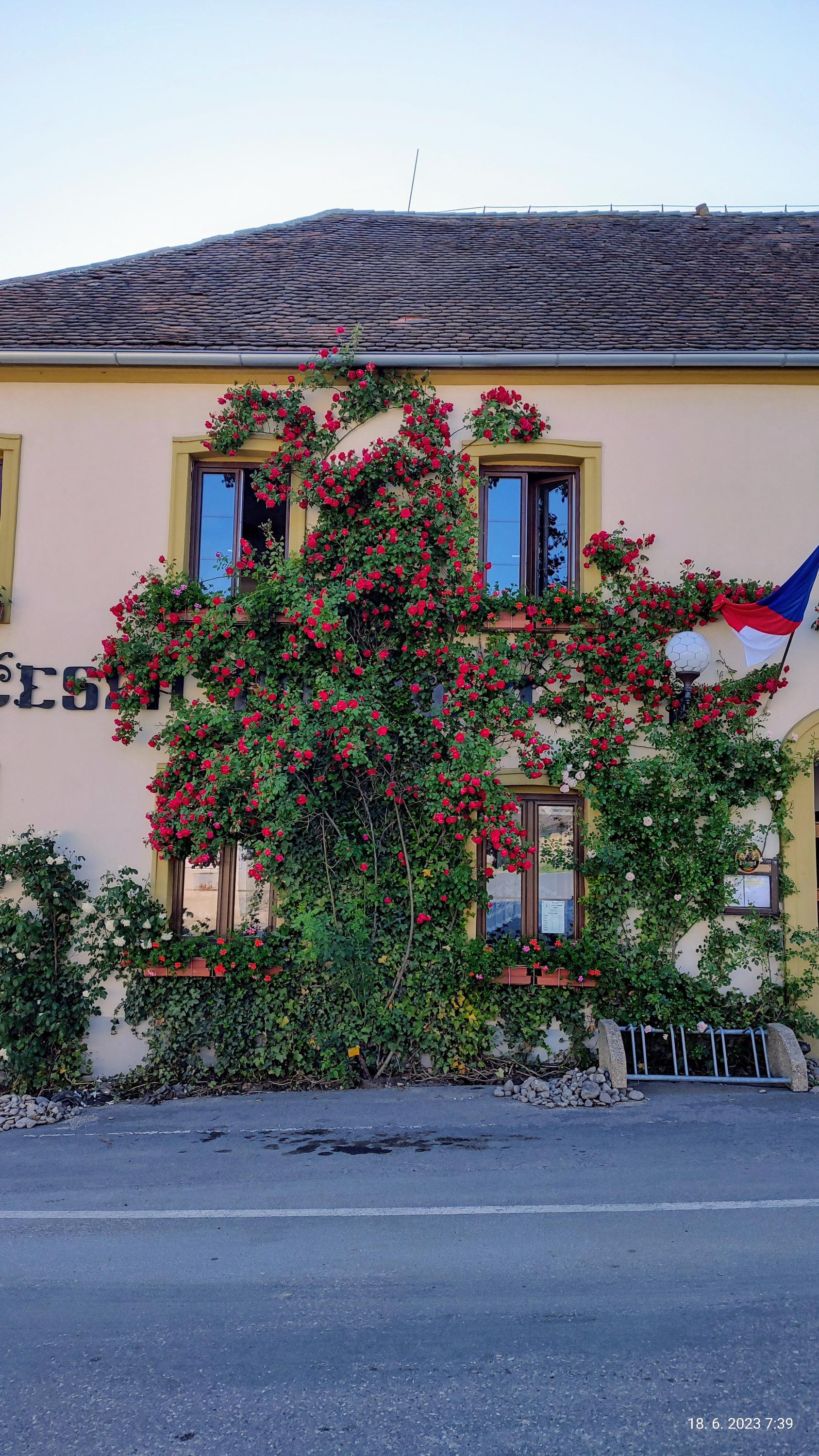 Česká hospoda foto 2