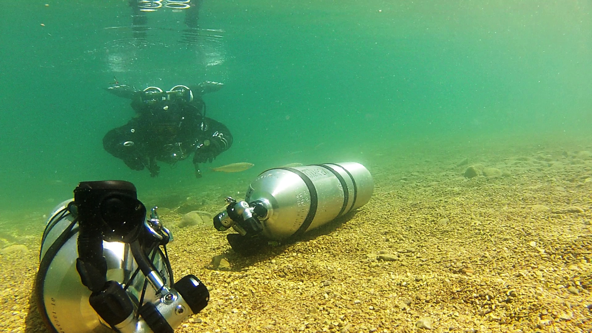 MS Diving / Škola potápění foto 3
