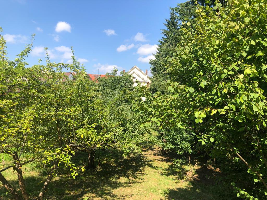 Sbor CČSH Milevsko foto 6