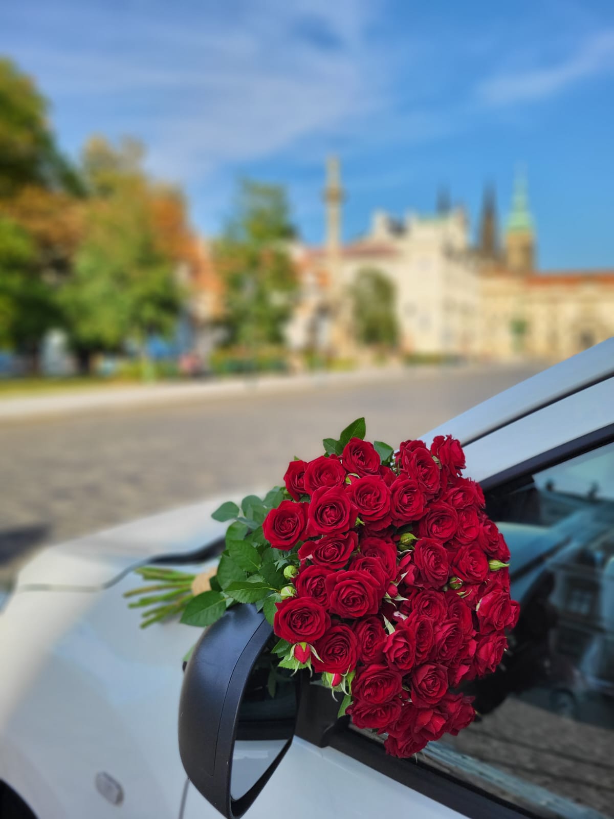 Florea.cz foto 2