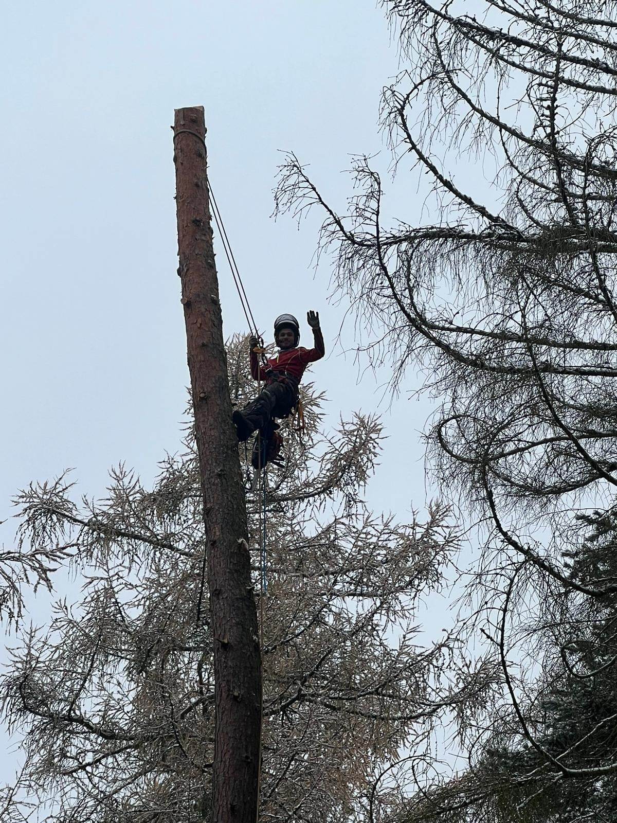 Rizikové kácení - Kryštof Feldstein foto 2