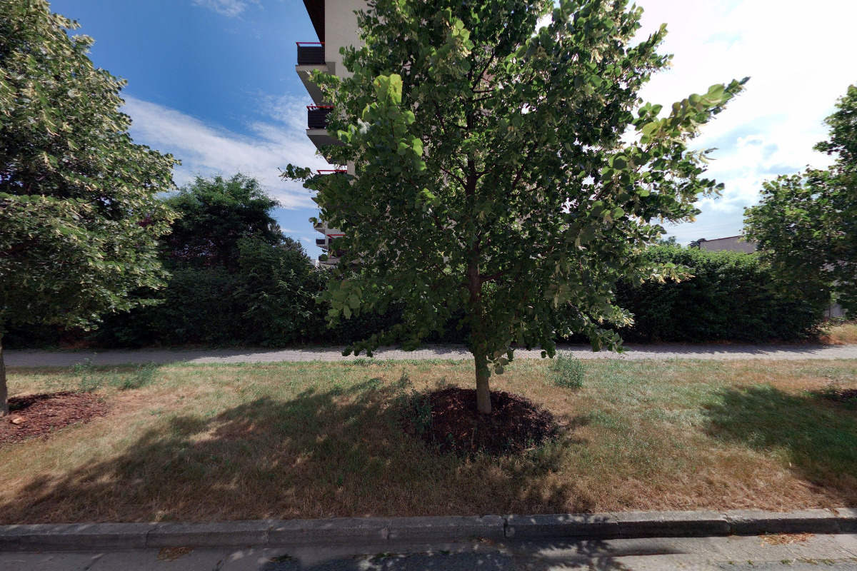 Asociace pro osobní asistenci, o.s.