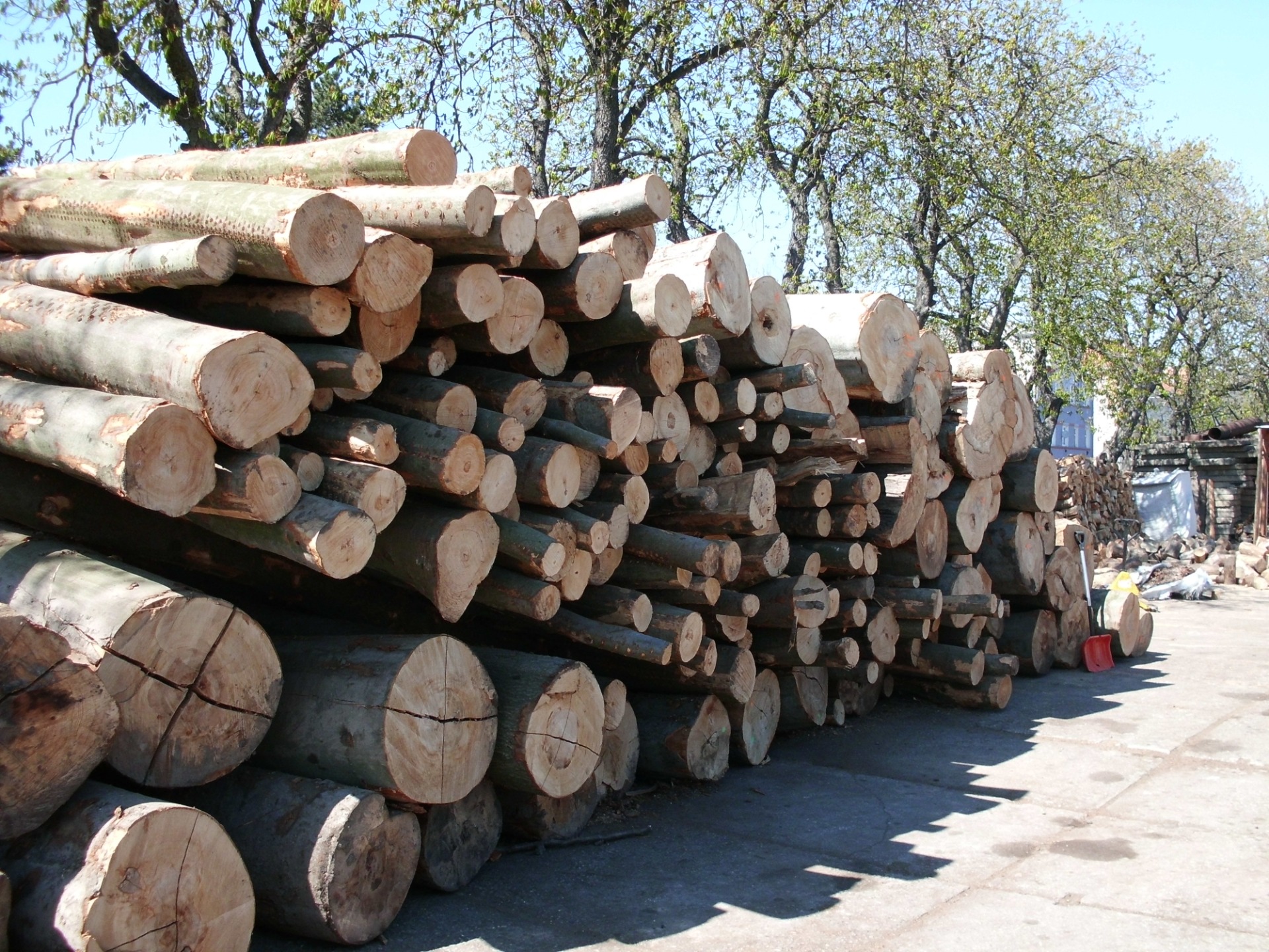 Palivové dřevo - Roman Kačerik foto 2