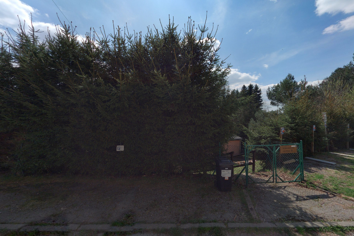 Pink House Lipno foto 1