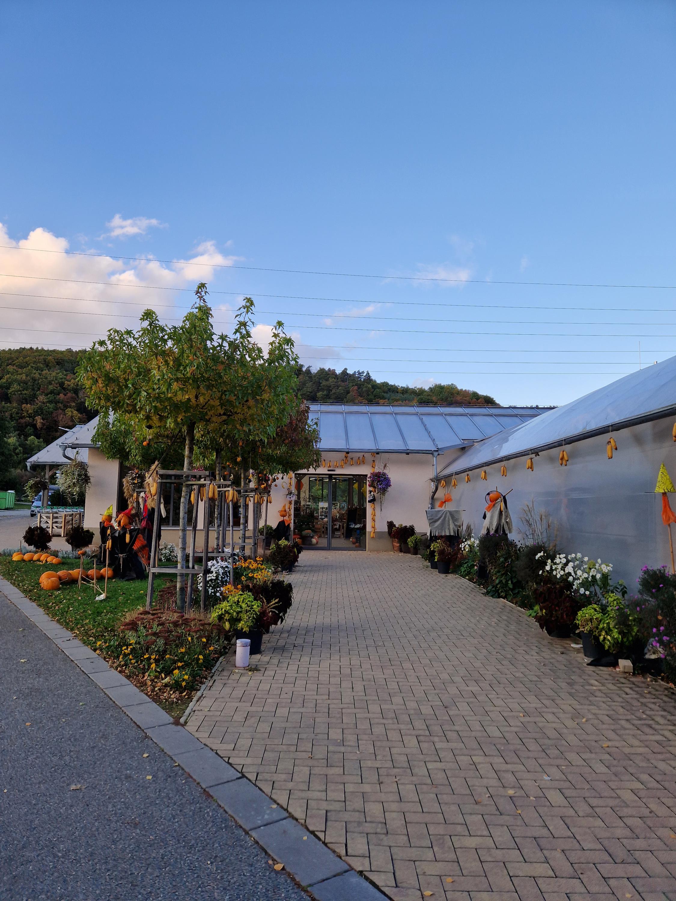 Zahradnictví u Kopřivů, s.r.o. foto 5