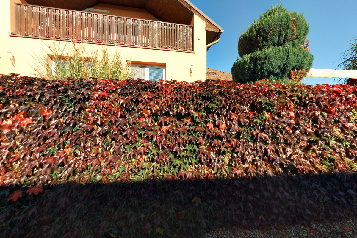 MiniBagr Michal Senft foto 1