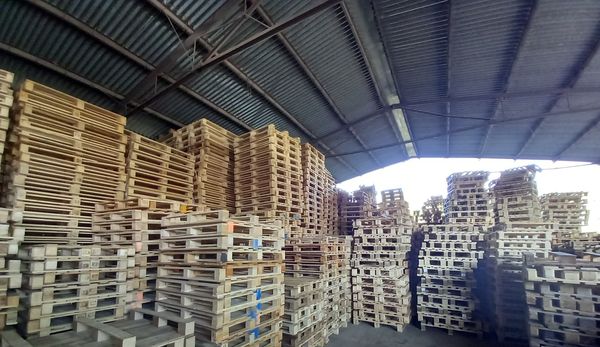 Palety Dašice (Lány u Dašic) • Firmy.cz