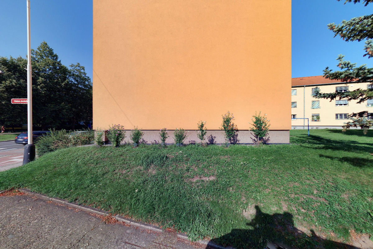 Rizikové kácení stromů - Aleš Kolda foto 3