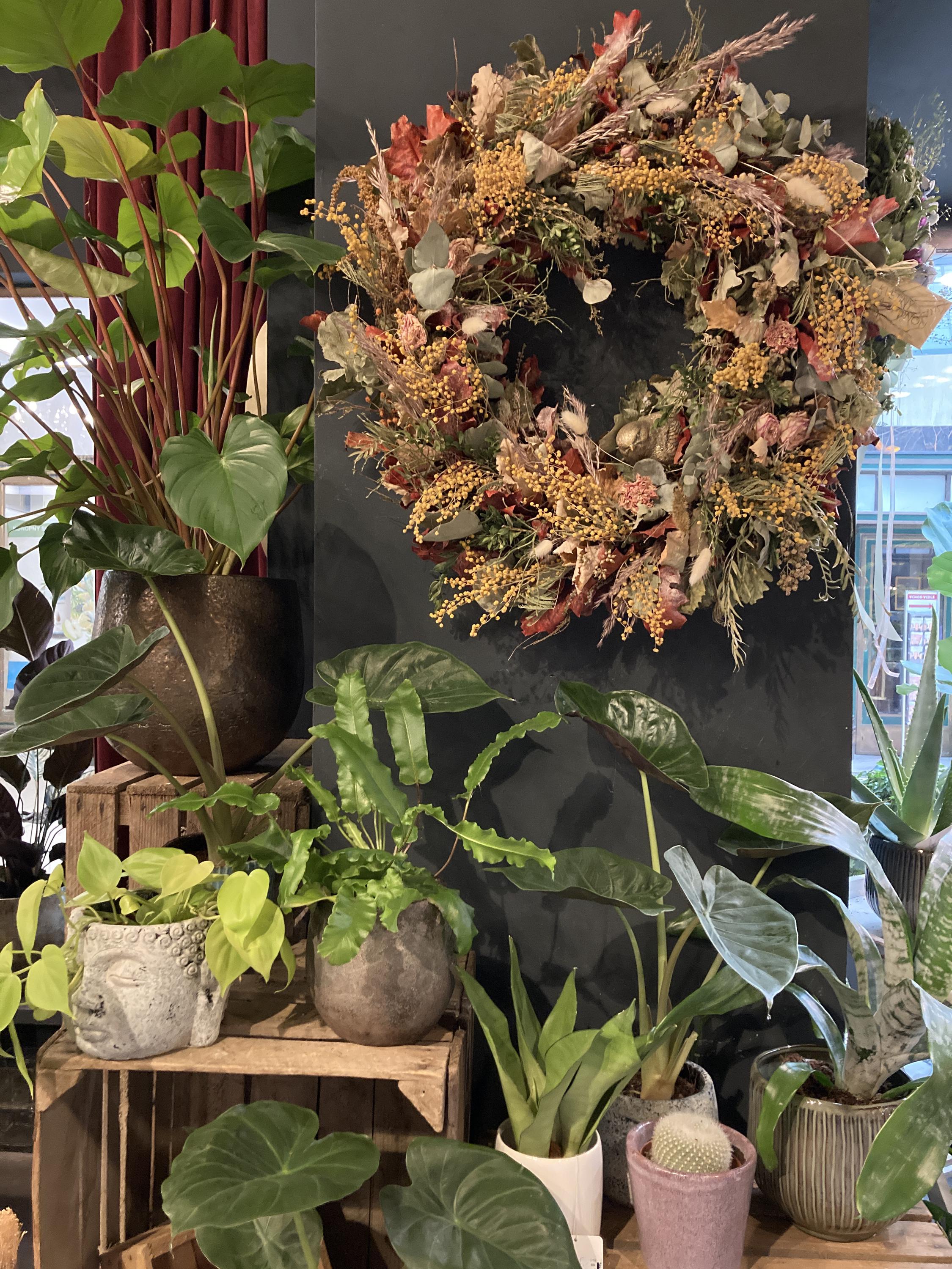 Květiny Za oponou foto 2