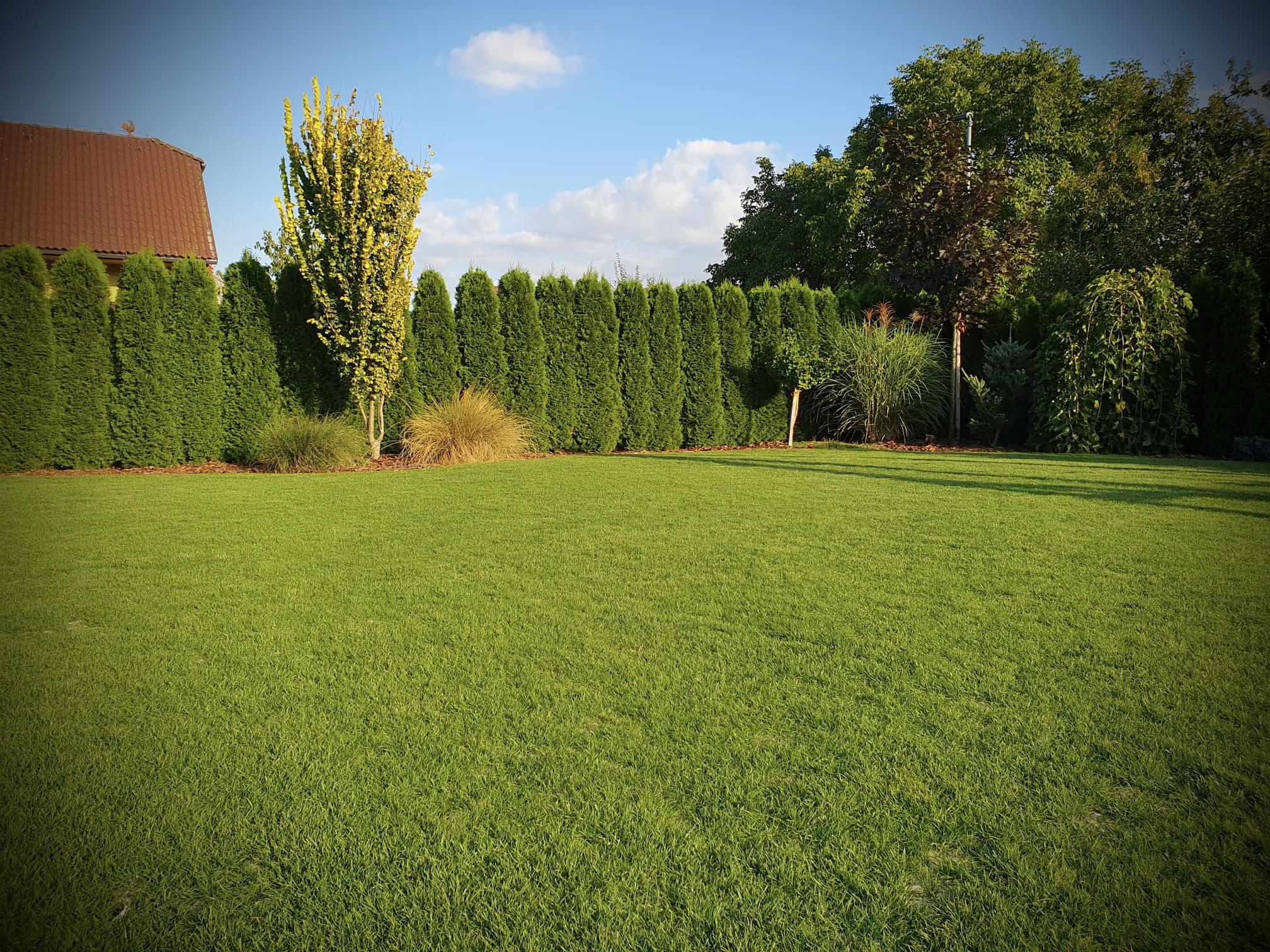 Blackgarden s.r.o. - Realizace zahrad foto 5