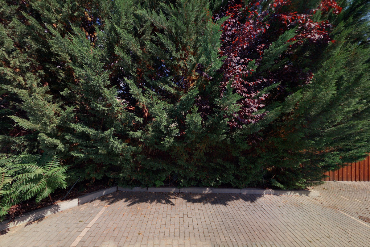 JUDr. Viliam Vidovič, advokát