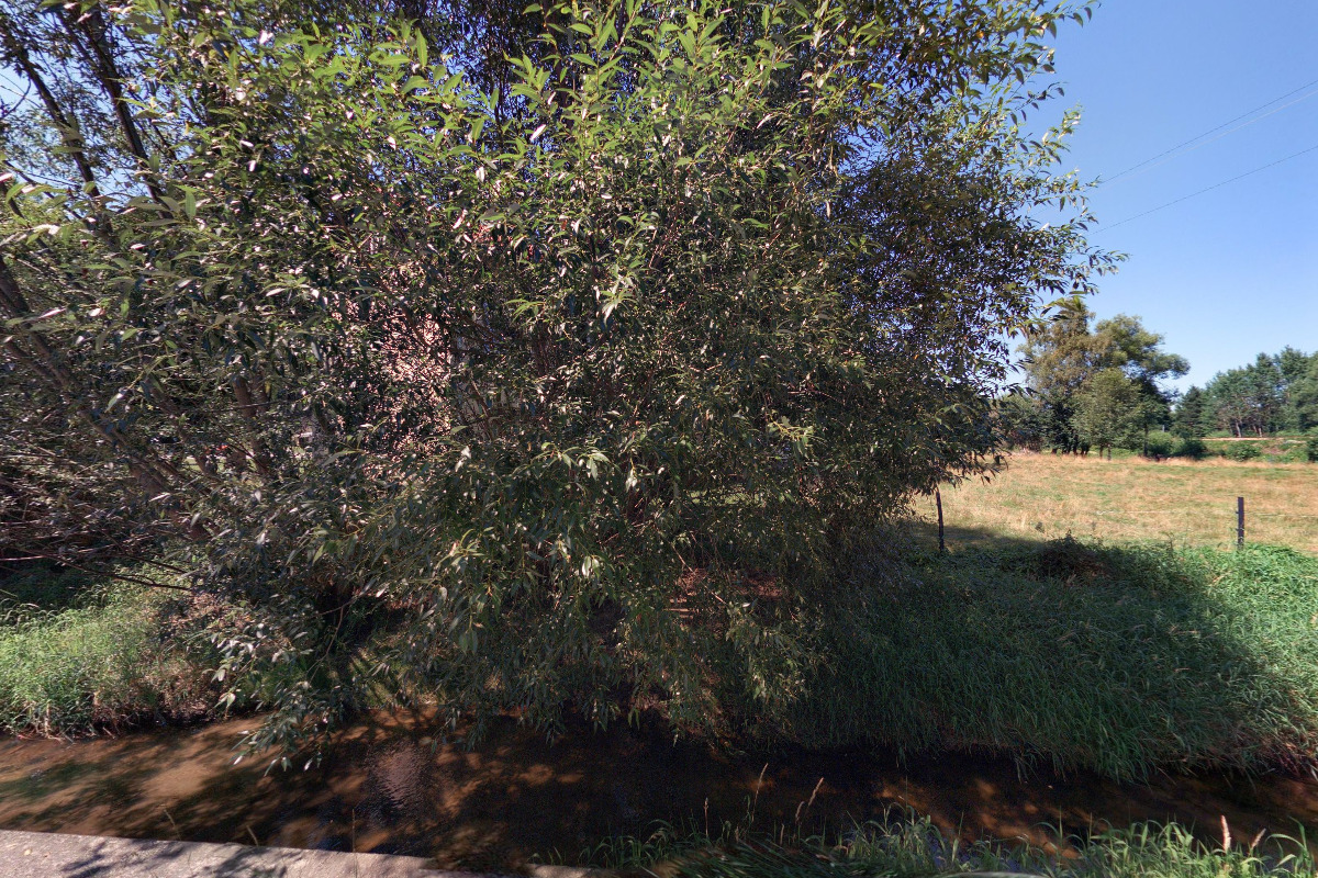 Krajská veterinární správa SVS pro Jihočeský kraj, Pracoviště Prachatice