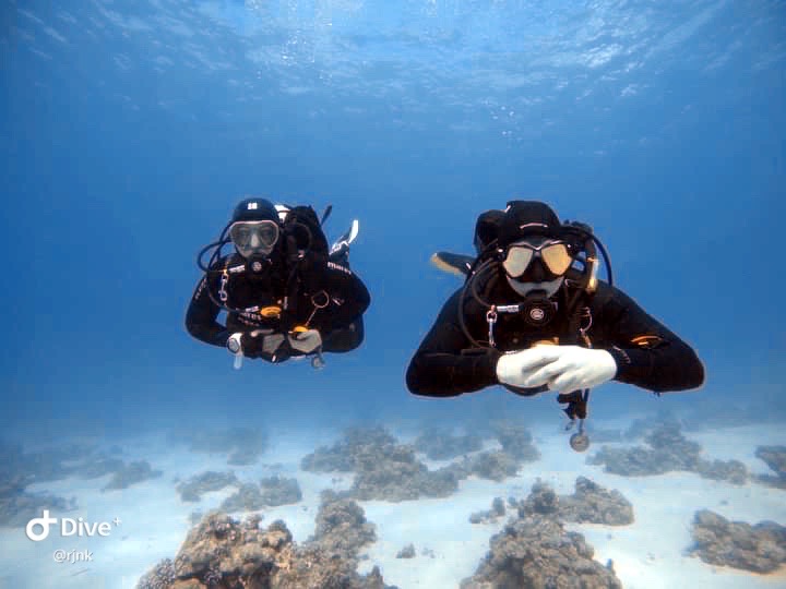 REJNOK DIVERS foto 5