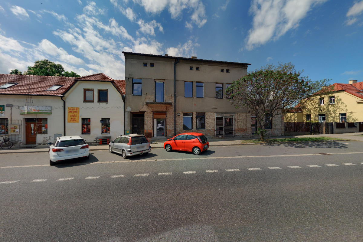 Kleoma Květiny foto 5