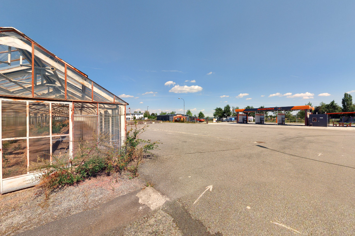 Milan Holý - OVOCNÉ STROMKY - BALKONOVÉ KVĚTINY foto 2