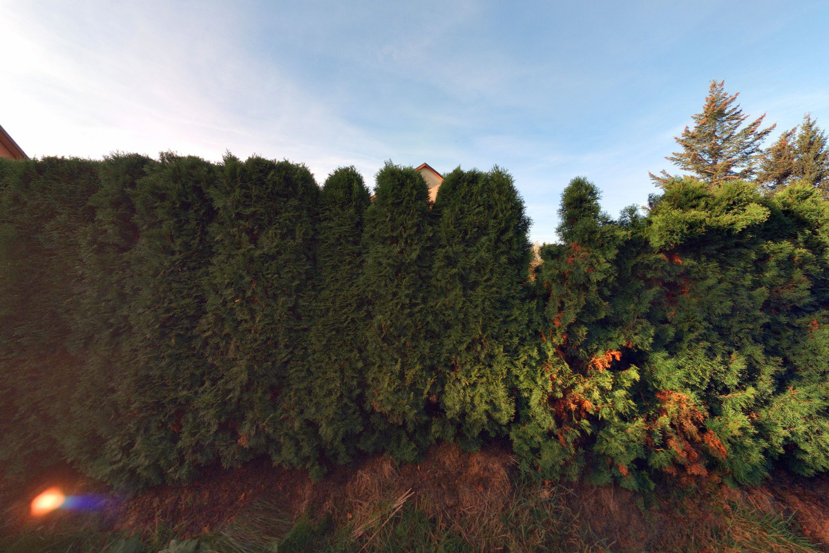 Josef Vosmík