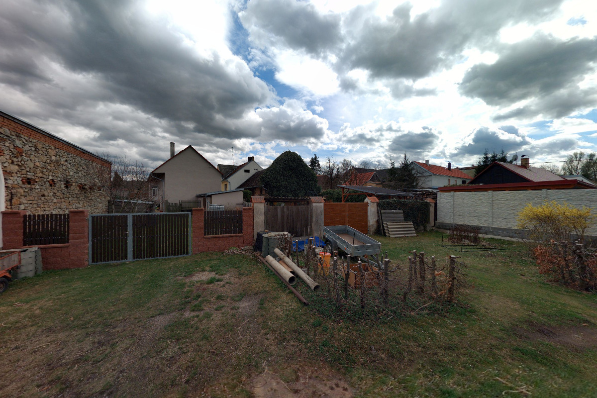 Petr Hanus - lesnictví