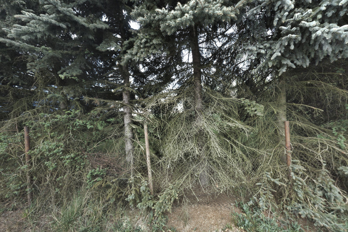 Středisko Dýmka Habartov foto 3