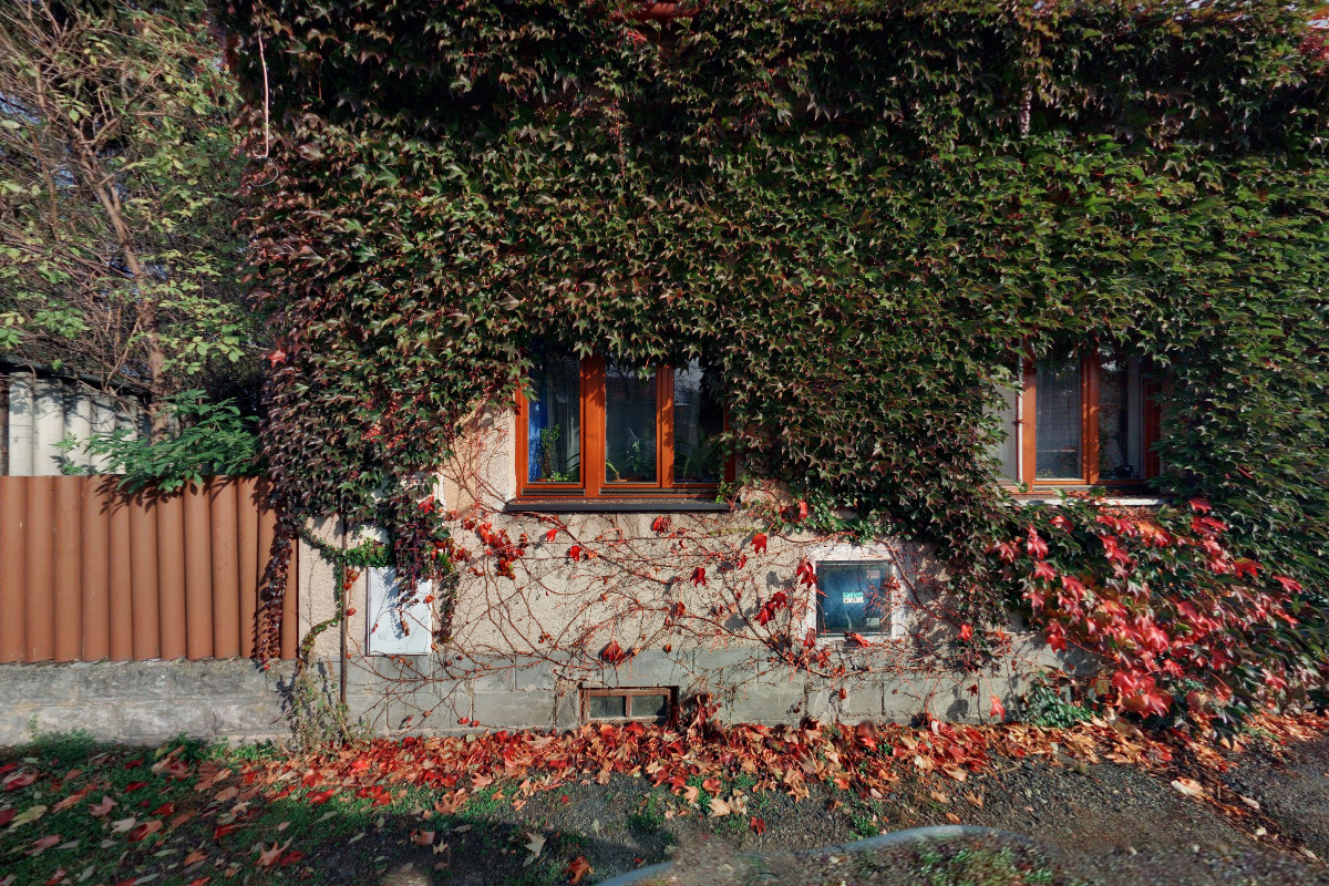 Kraniosakrální terapie - Mgr. Alena Prokopová