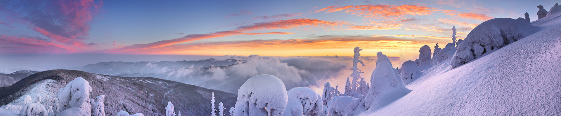 Úvodní obrázek Besky
